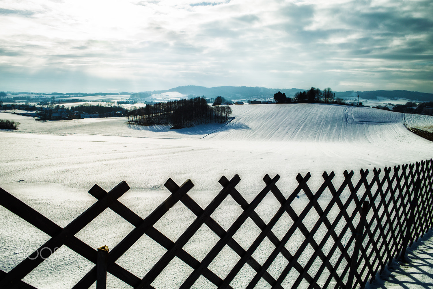 Sigma DP1 sample photo. Winter photography