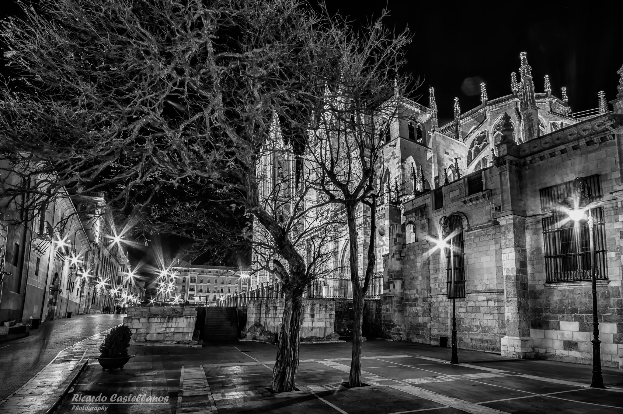 Sigma AF 10-20mm F4-5.6 EX DC sample photo. Catedral de león (spain) photography