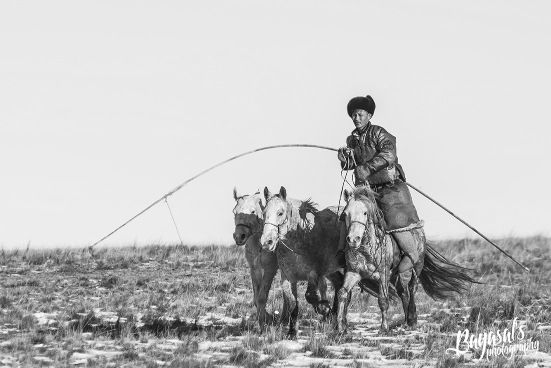 Nikon AF-Nikkor 80-200mm F2.8D ED sample photo. Mongolian horseman photography