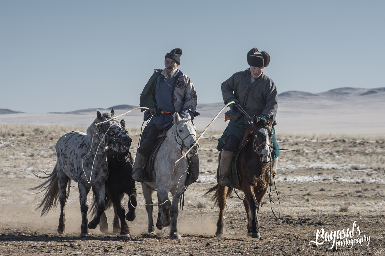 Nikon AF-Nikkor 80-200mm F2.8D ED sample photo. Mongolian horseman photography