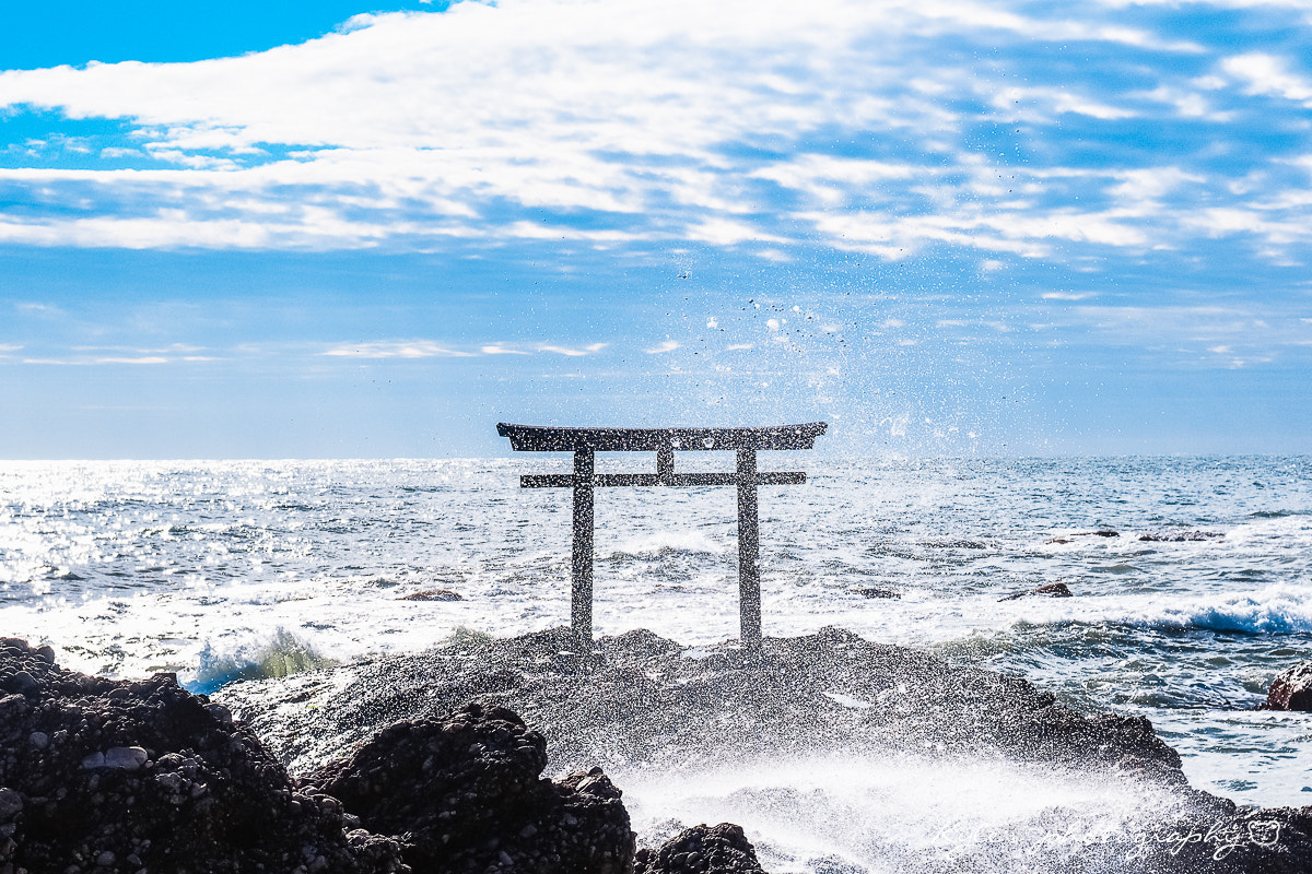 Olympus OM-D E-M1 sample photo. 大洗磯前神社 photography