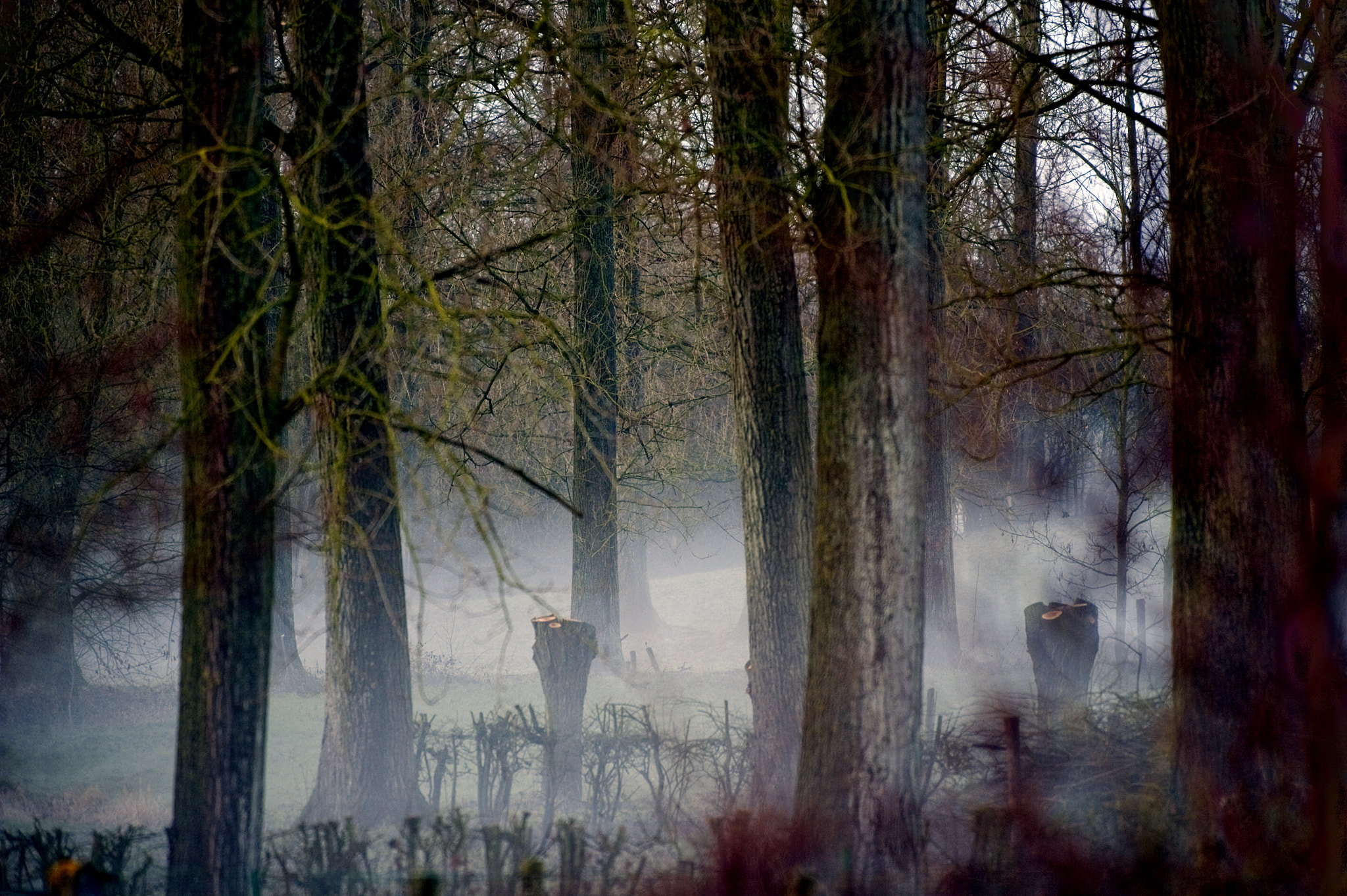 Nikon D3 sample photo. Pajottenland51 photography