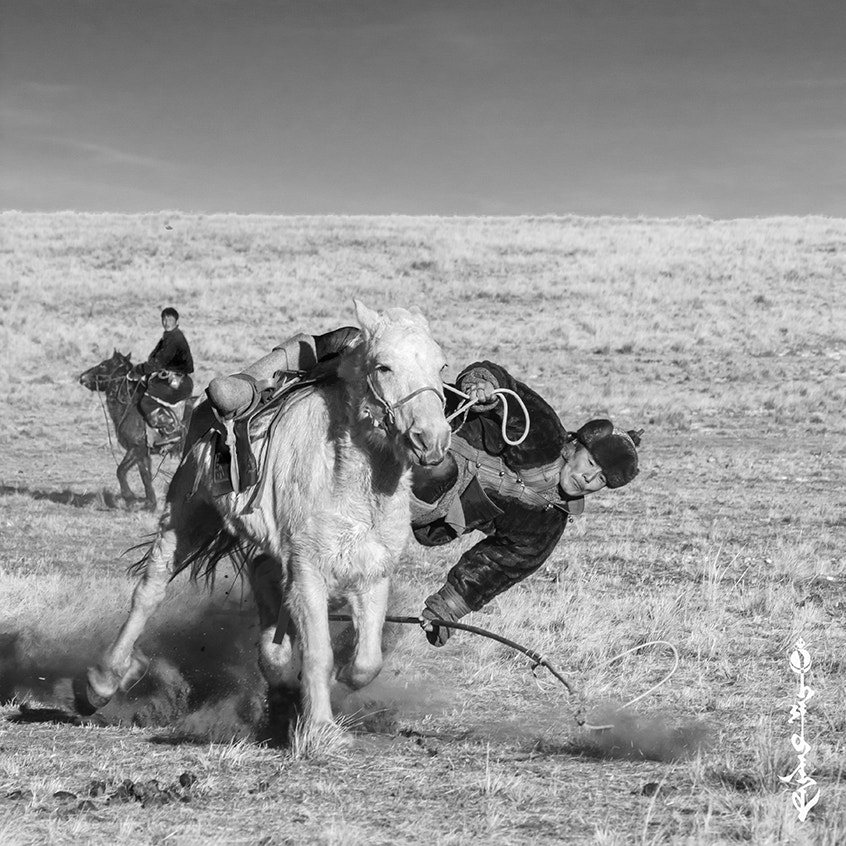 Nikon D7200 + Nikon AF-Nikkor 80-200mm F2.8D ED sample photo. Mongolian horseman photography