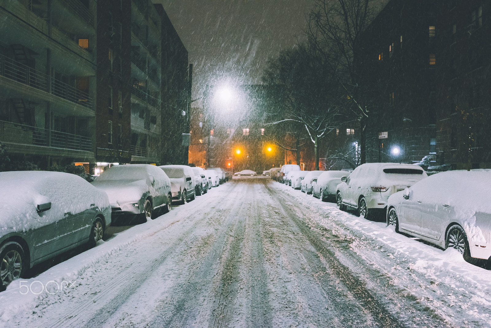 Sony a7R + Sony FE 28mm F2 sample photo. Snow is like fairy dust, everything looks magical photography