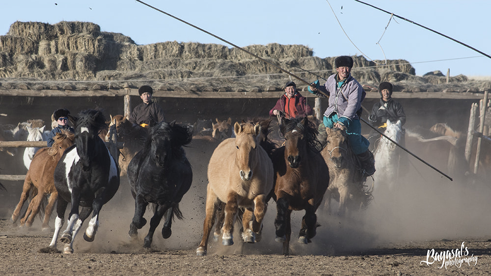 Nikon AF-Nikkor 80-200mm F2.8D ED sample photo. Mongolian horseman photography