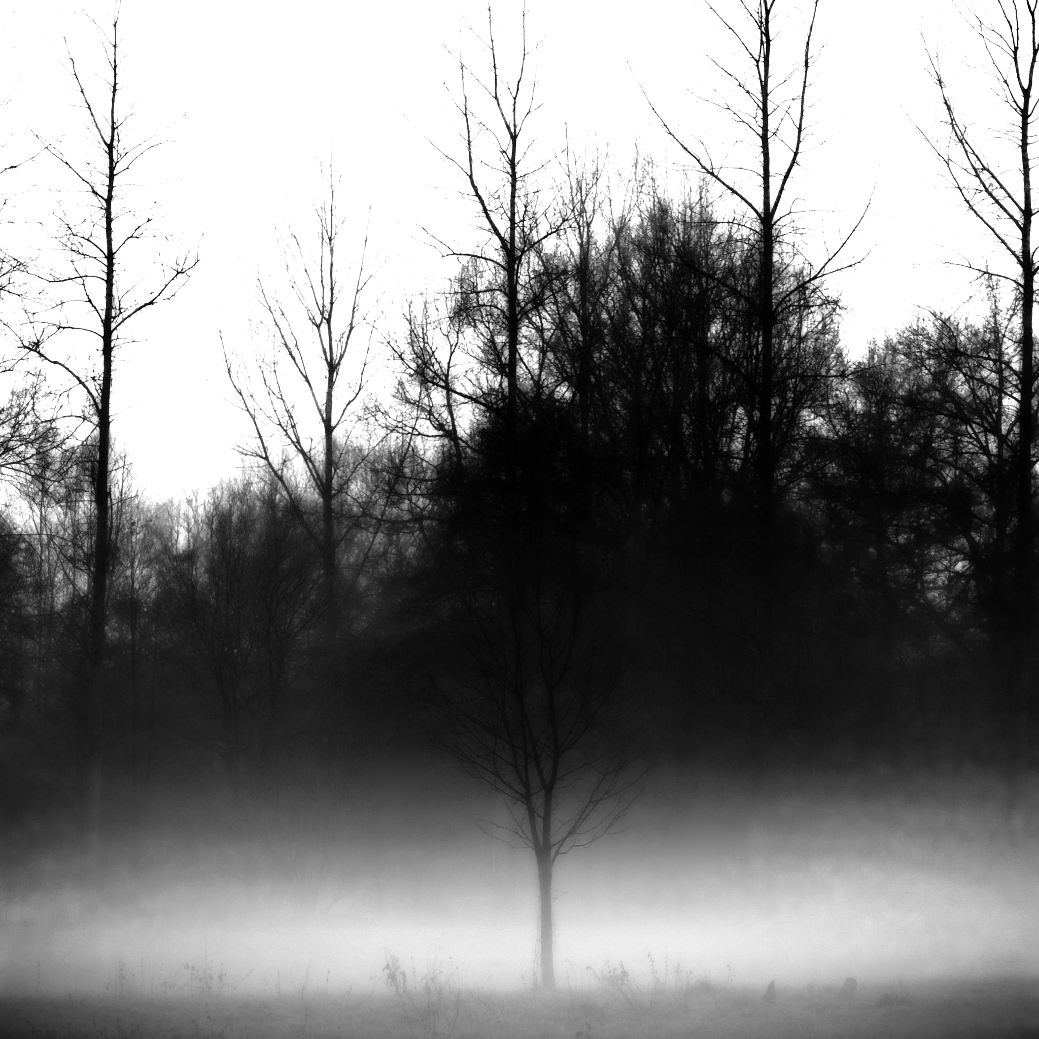 Nikon D3 sample photo. Pajottenland52 photography
