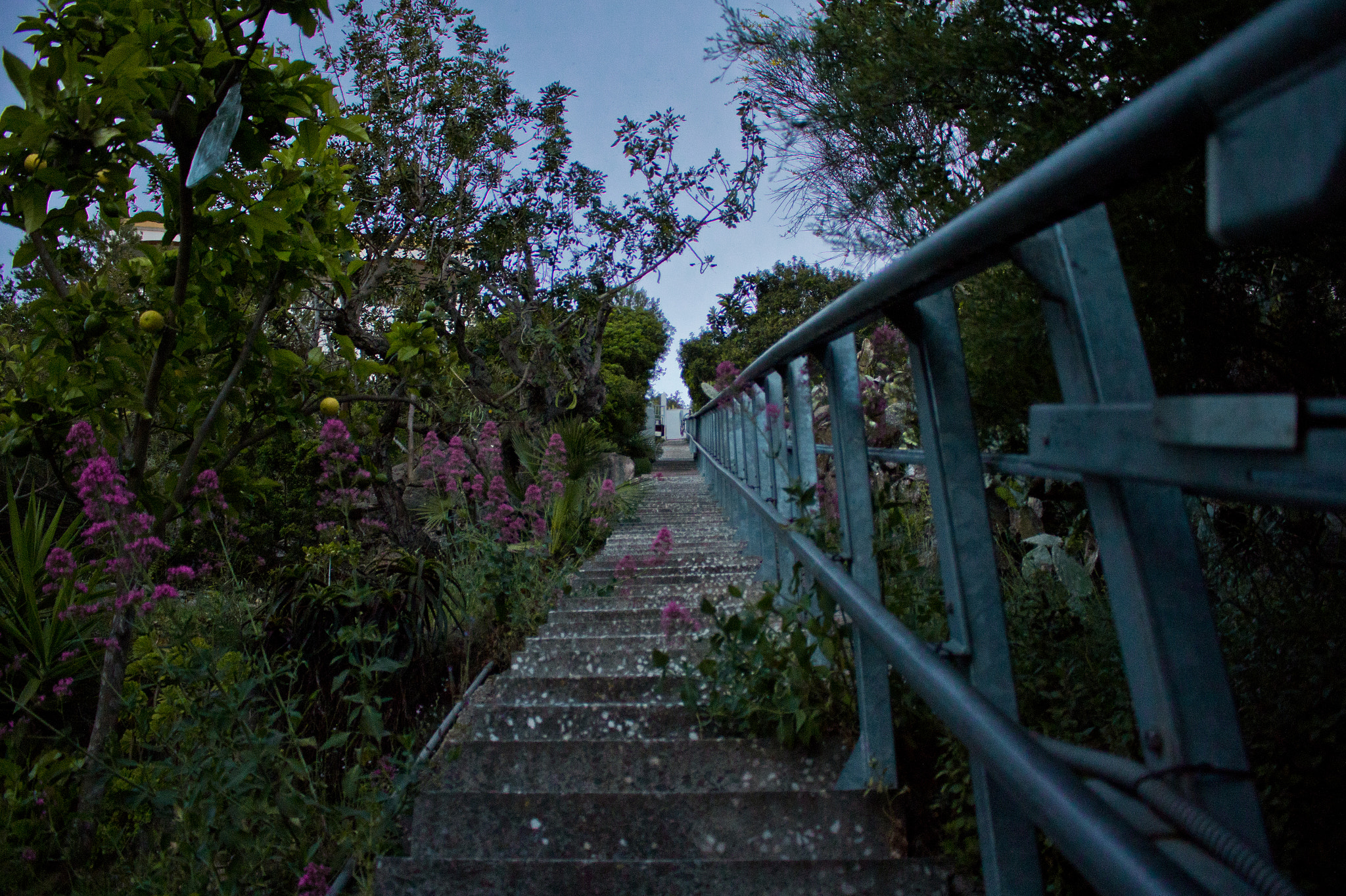 Canon EOS 60D sample photo. Stairs to heaven photography