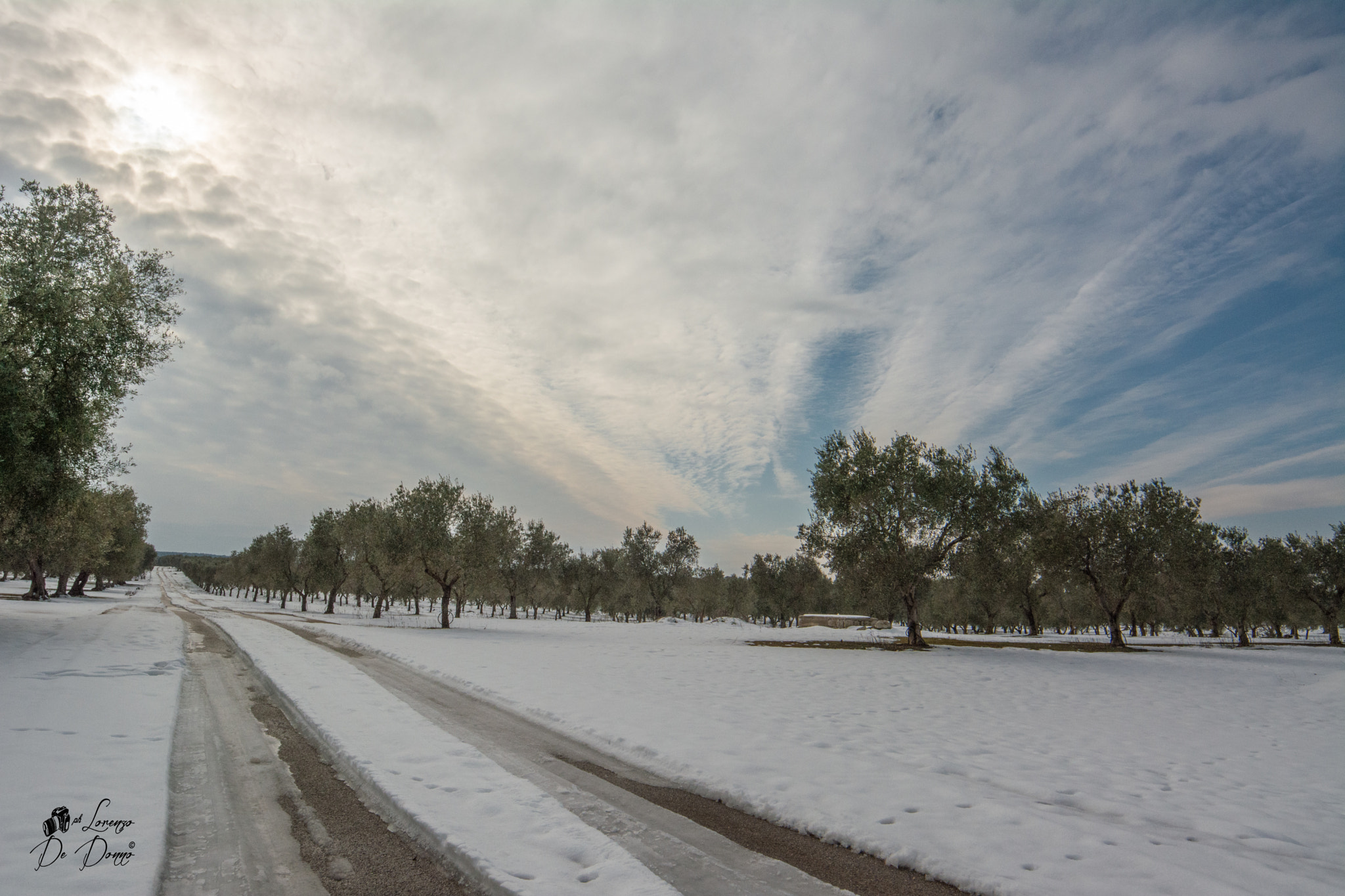 Samyang 14mm F2.8 ED AS IF UMC sample photo. Il sole ci sta togliendo quella magia che forse non rivedremo mai più photography