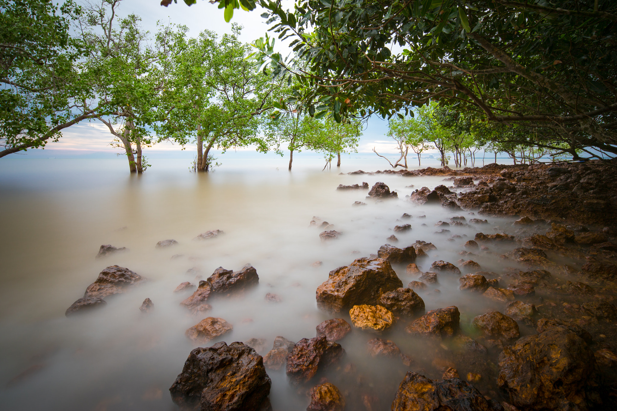 Canon TS-E 17mm F4L Tilt-Shift sample photo. Under the covers of the trees photography