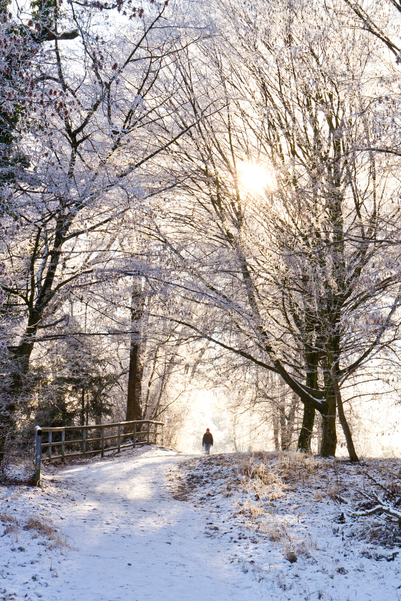 Canon EOS 7D sample photo. Winter stroll photography