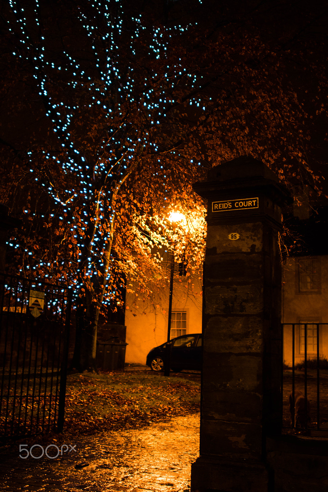 Nikon D500 + Nikon AF-S Nikkor 28mm F1.8G sample photo. Contemplative christmas lightning in a doorway photography