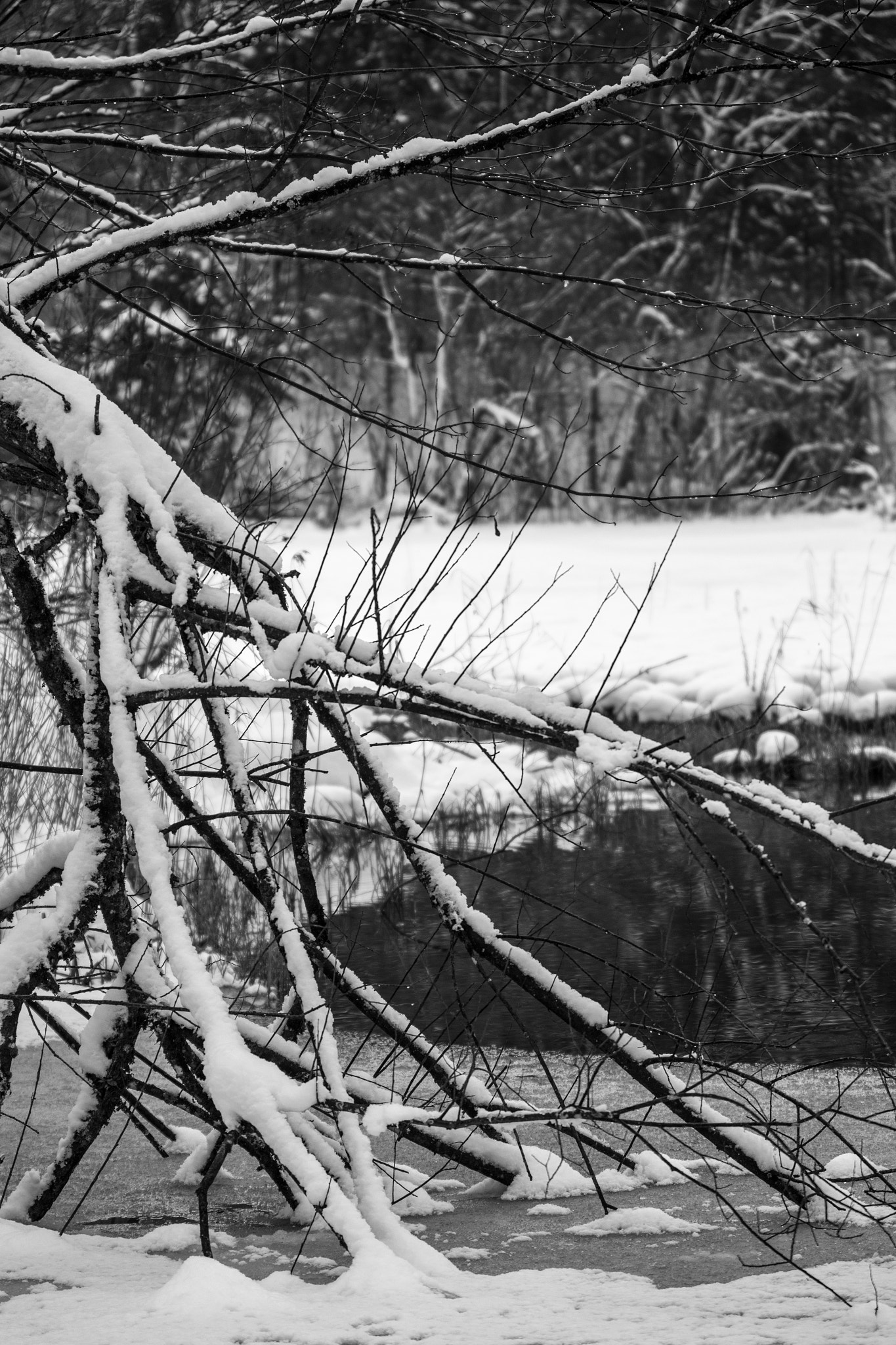 Canon EF 70-200mm F2.8L IS II USM sample photo. Snowscape ii photography