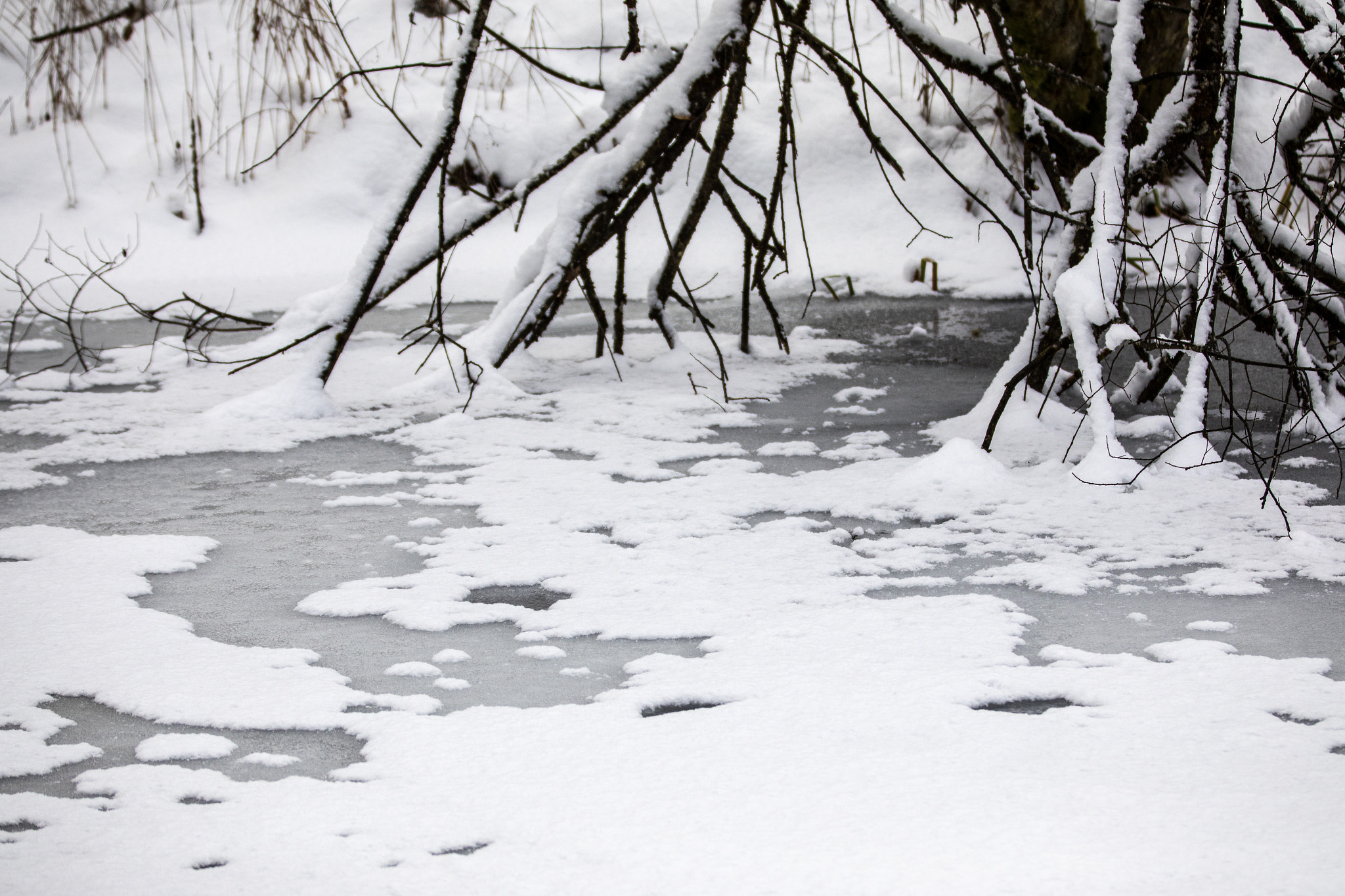 Canon EF 70-200mm F2.8L IS II USM sample photo. Snowscape iii photography