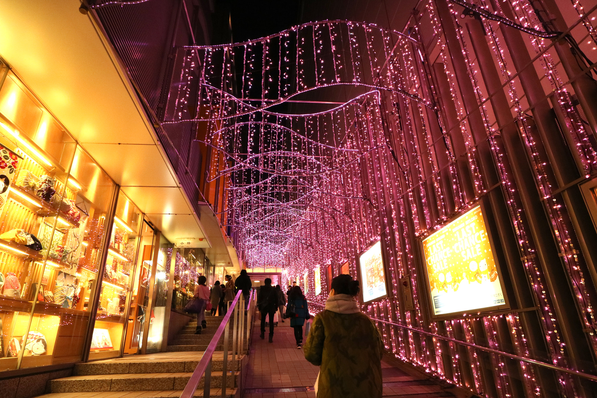 Canon EF-M 11-22mm F4-5.6 IS STM sample photo. Purple rain  photography