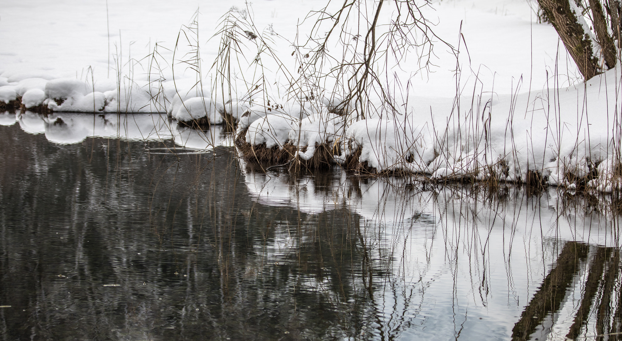 Canon EOS 5D Mark IV + Canon EF 70-200mm F2.8L IS II USM sample photo. Snowscape v photography