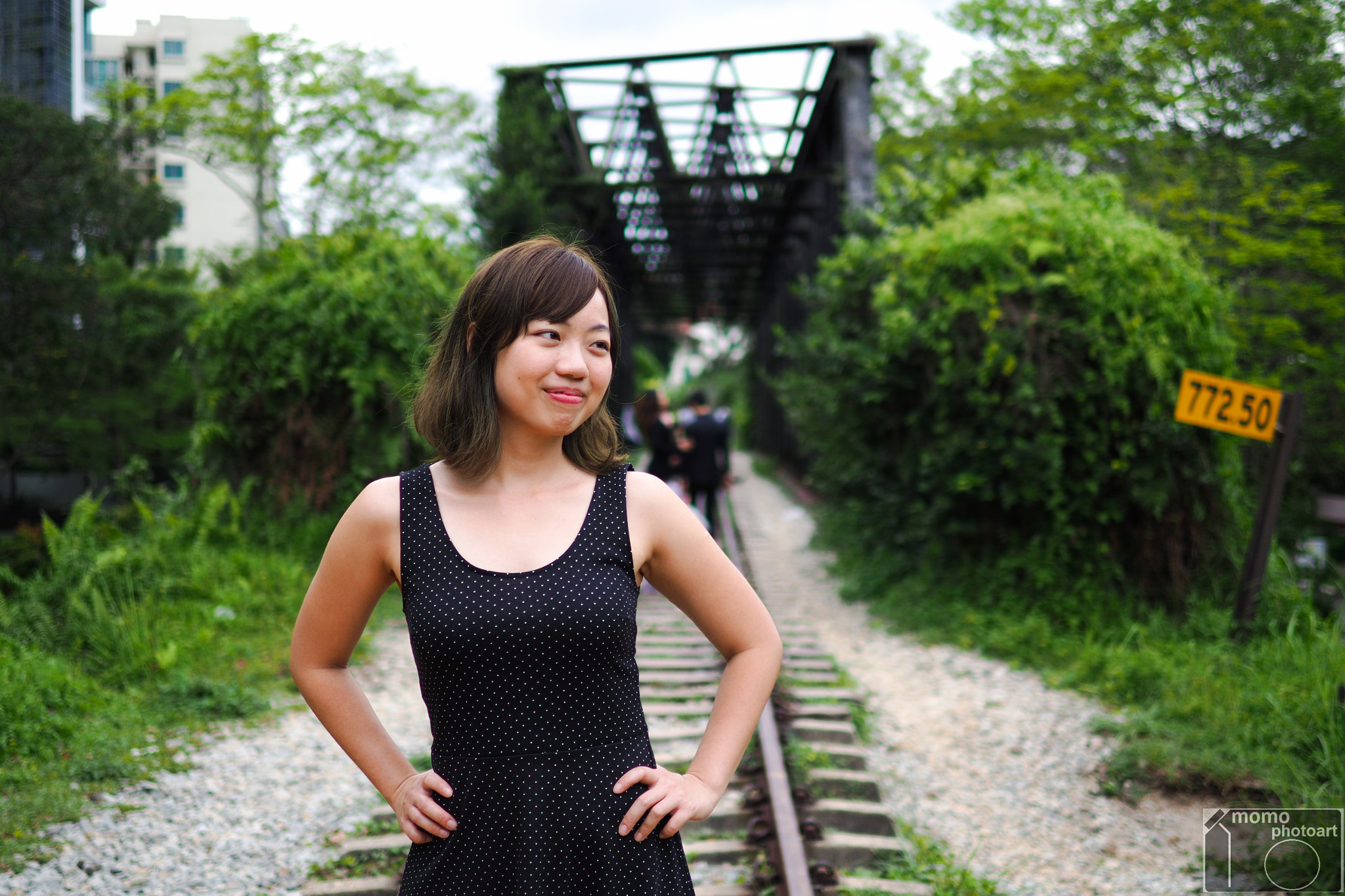 Panasonic Leica DG Summilux 25mm F1.4 II ASPH sample photo. Old railway photography
