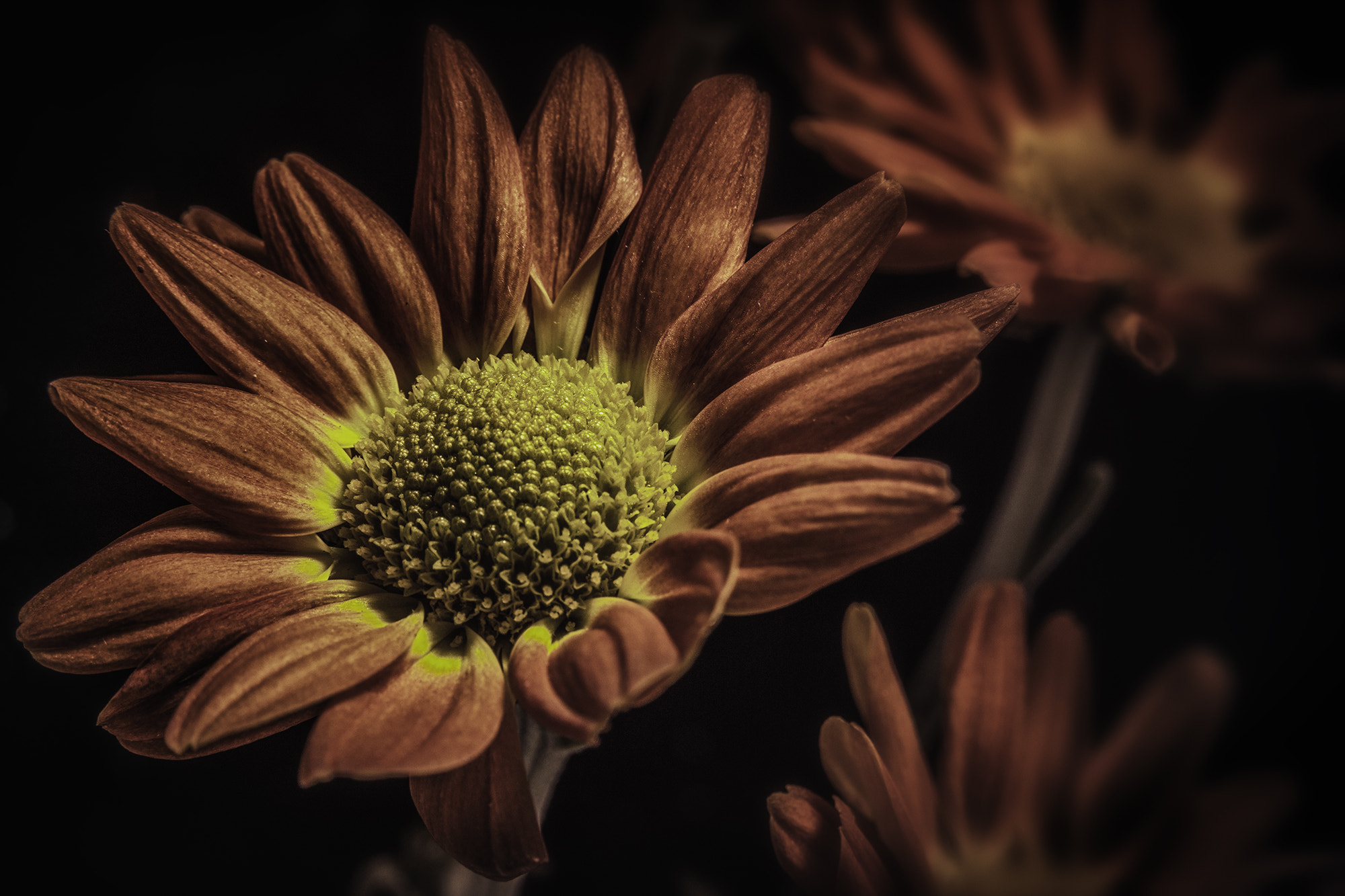 Sony SLT-A68 + Sigma 17-70mm F2.8-4.5 (D) sample photo. Ligt in darkness photography