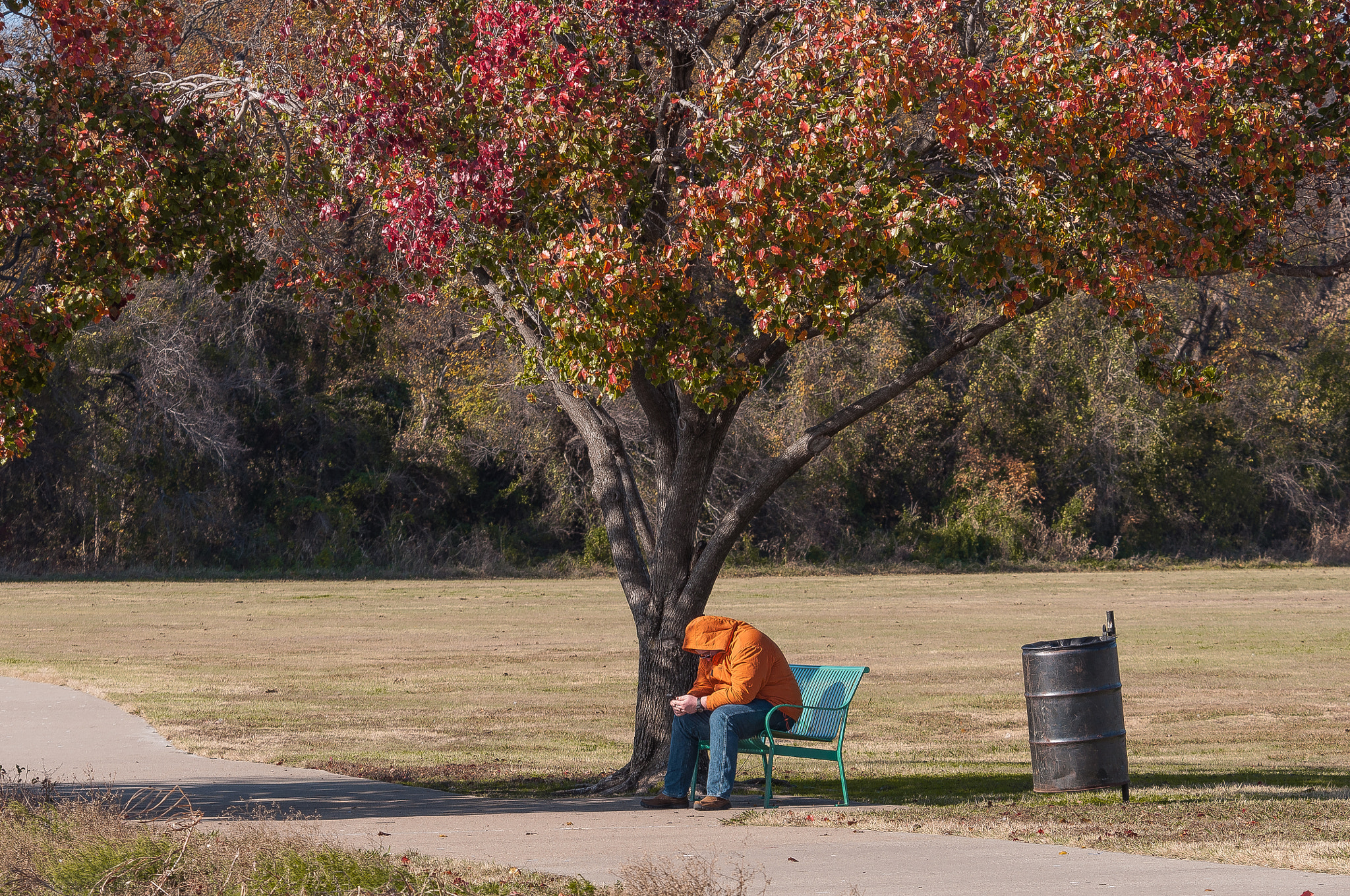 Nikon D90 sample photo. Someone in a park, texas. photography
