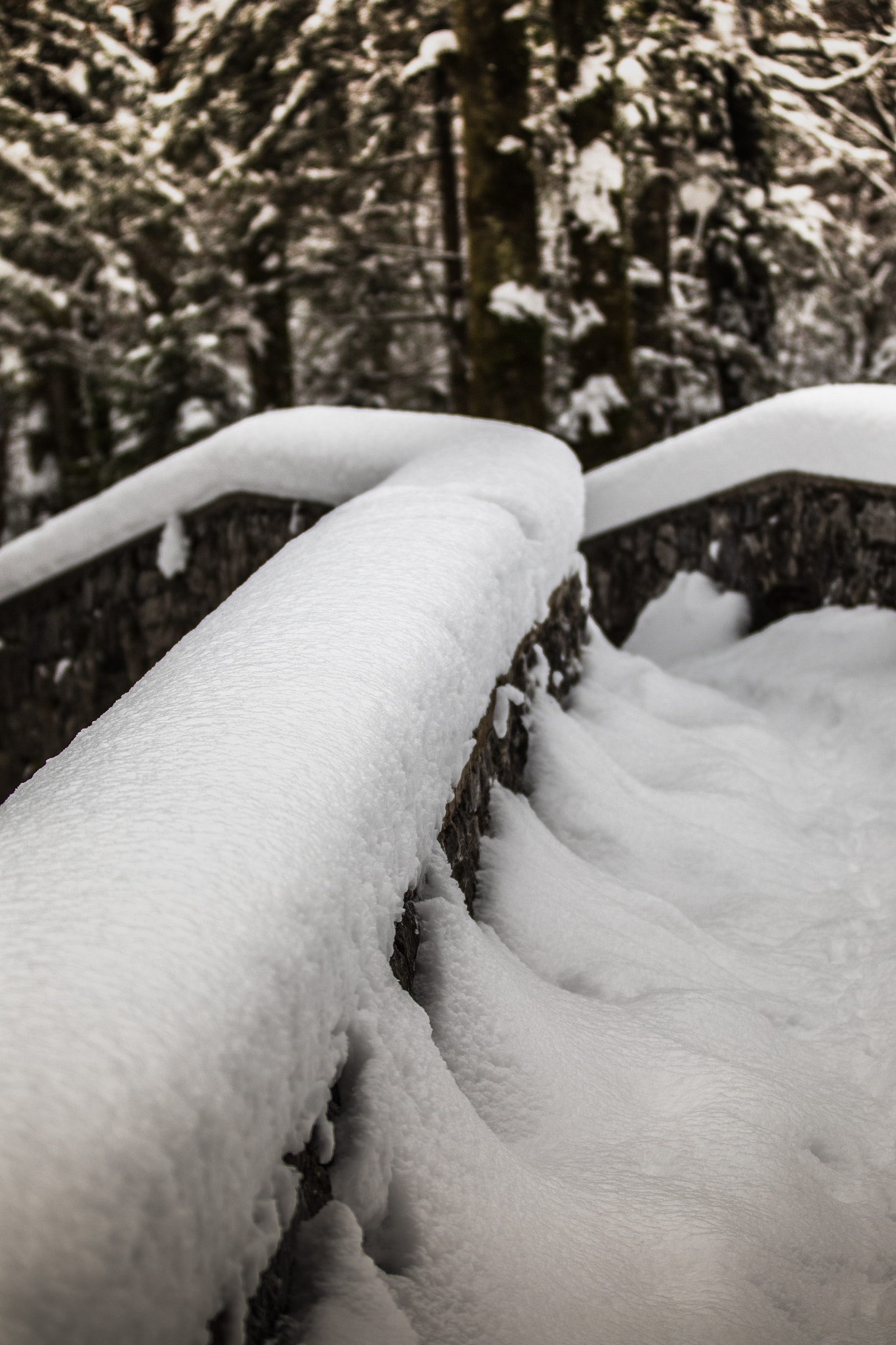 Canon EF 70-200mm F2.8L IS II USM sample photo. Snowscape xii photography