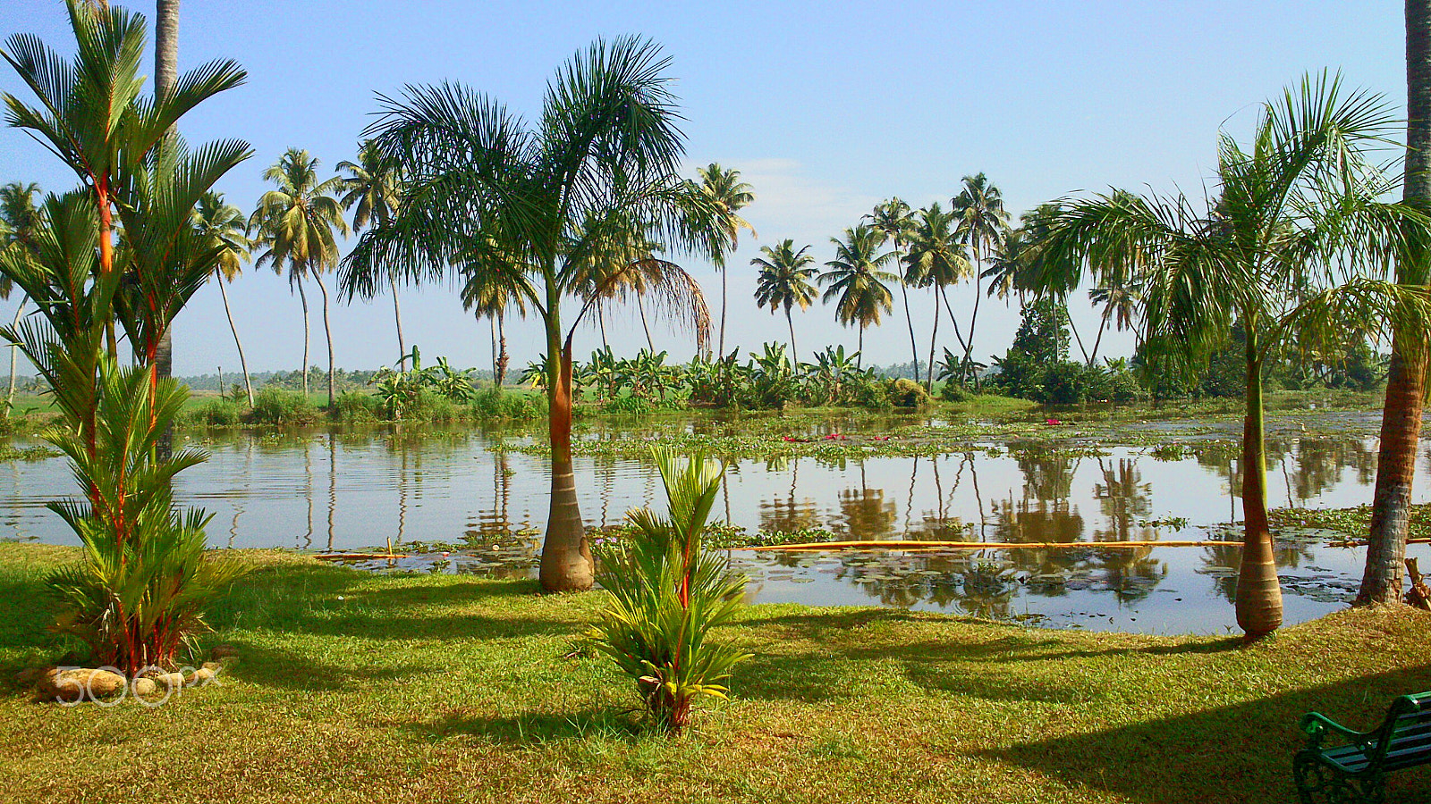 Sony Xperia U sample photo. Backwater in kerala photography