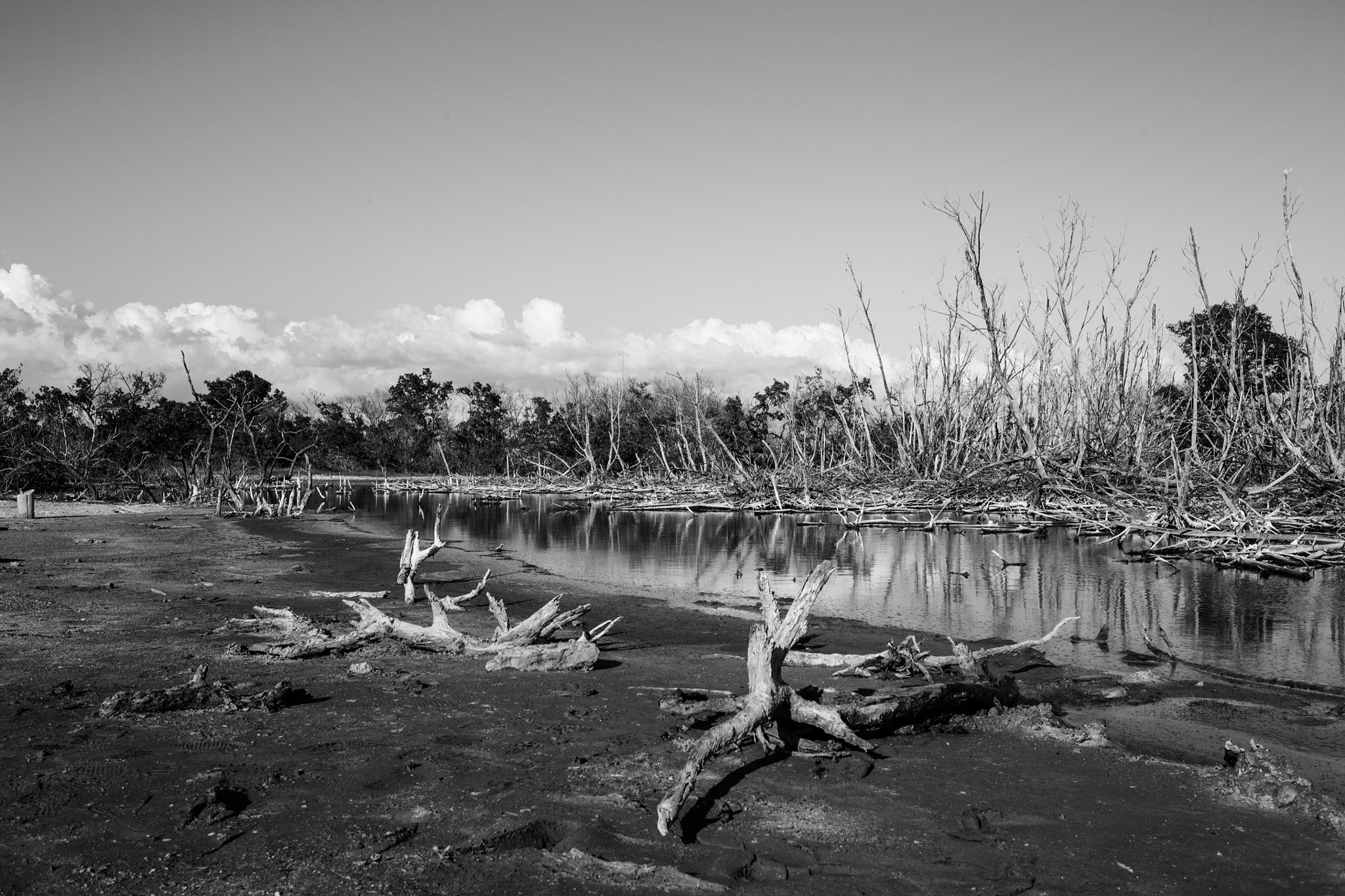 Canon EF 16-35mm F4L IS USM sample photo. Cabo rojo photography