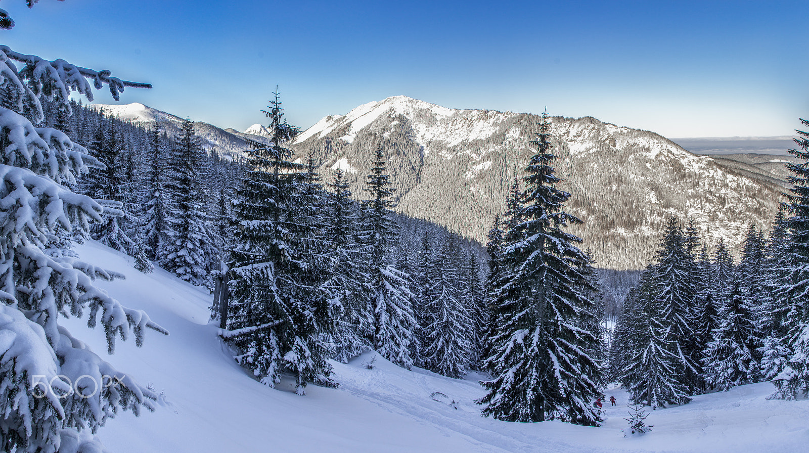 Sigma 18-200mm F3.5-6.3 II DC OS HSM sample photo. Bobrowiec photography