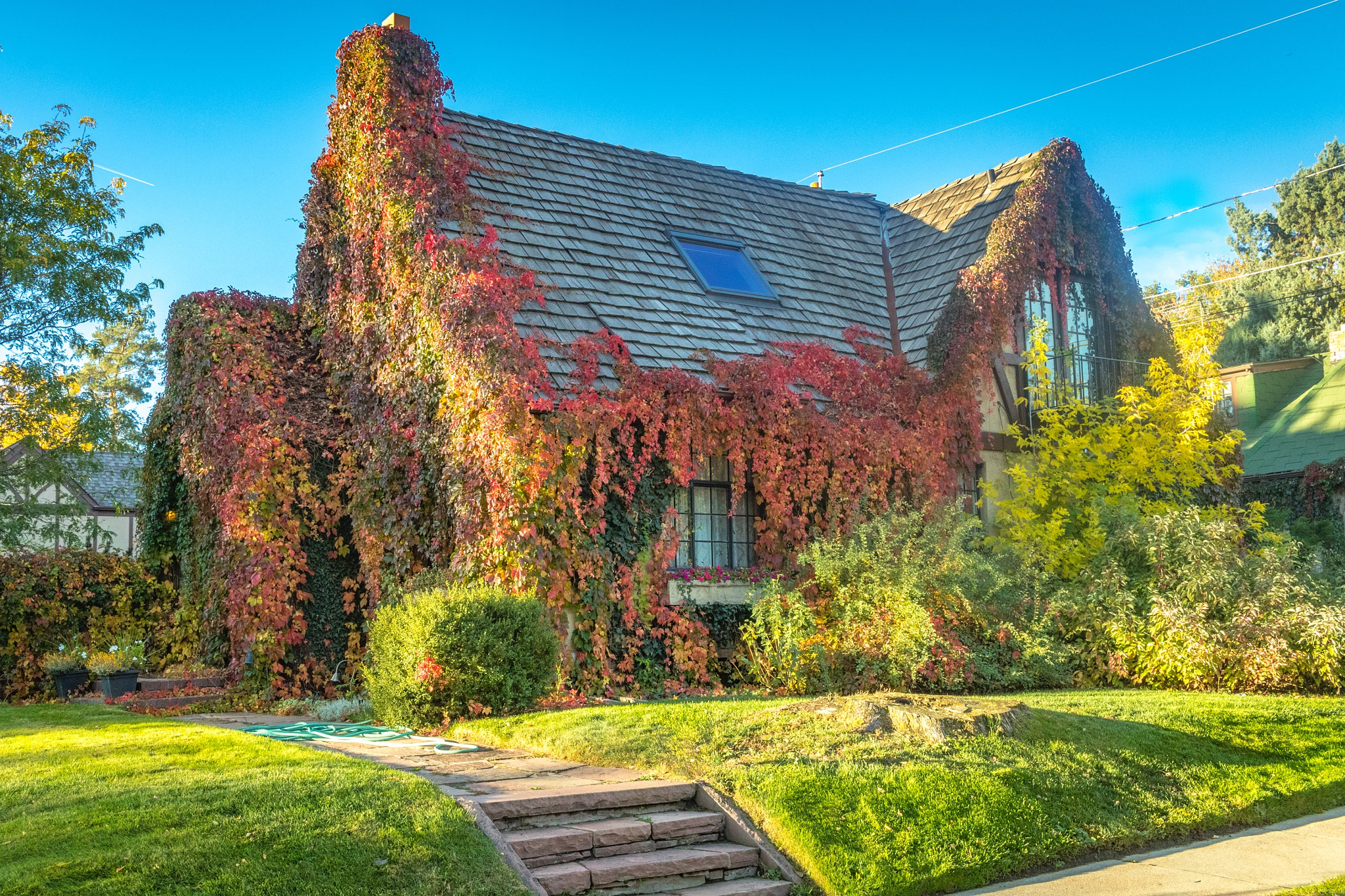 Canon EF-S 24mm F2.8 STM sample photo. Garden house photography