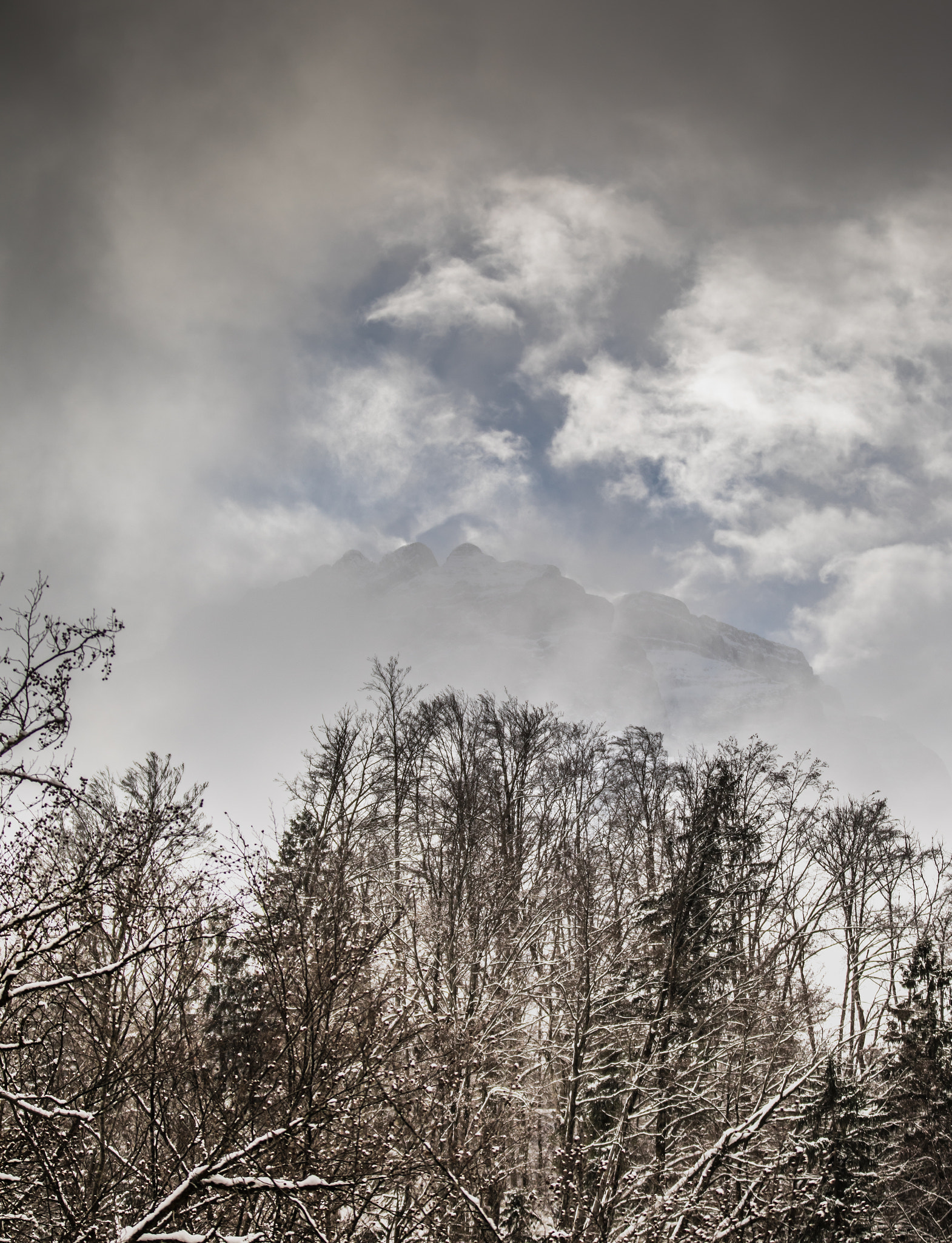 Canon EOS 5D Mark IV + Canon EF 70-200mm F2.8L IS II USM sample photo. Snowscape xxix photography