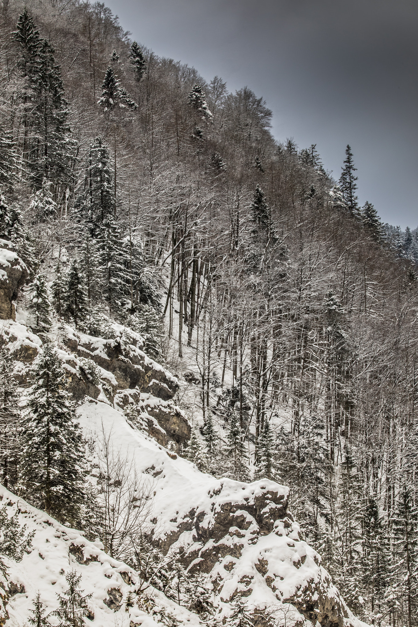 Canon EF 70-200mm F2.8L IS II USM sample photo. Snowscape xxx photography