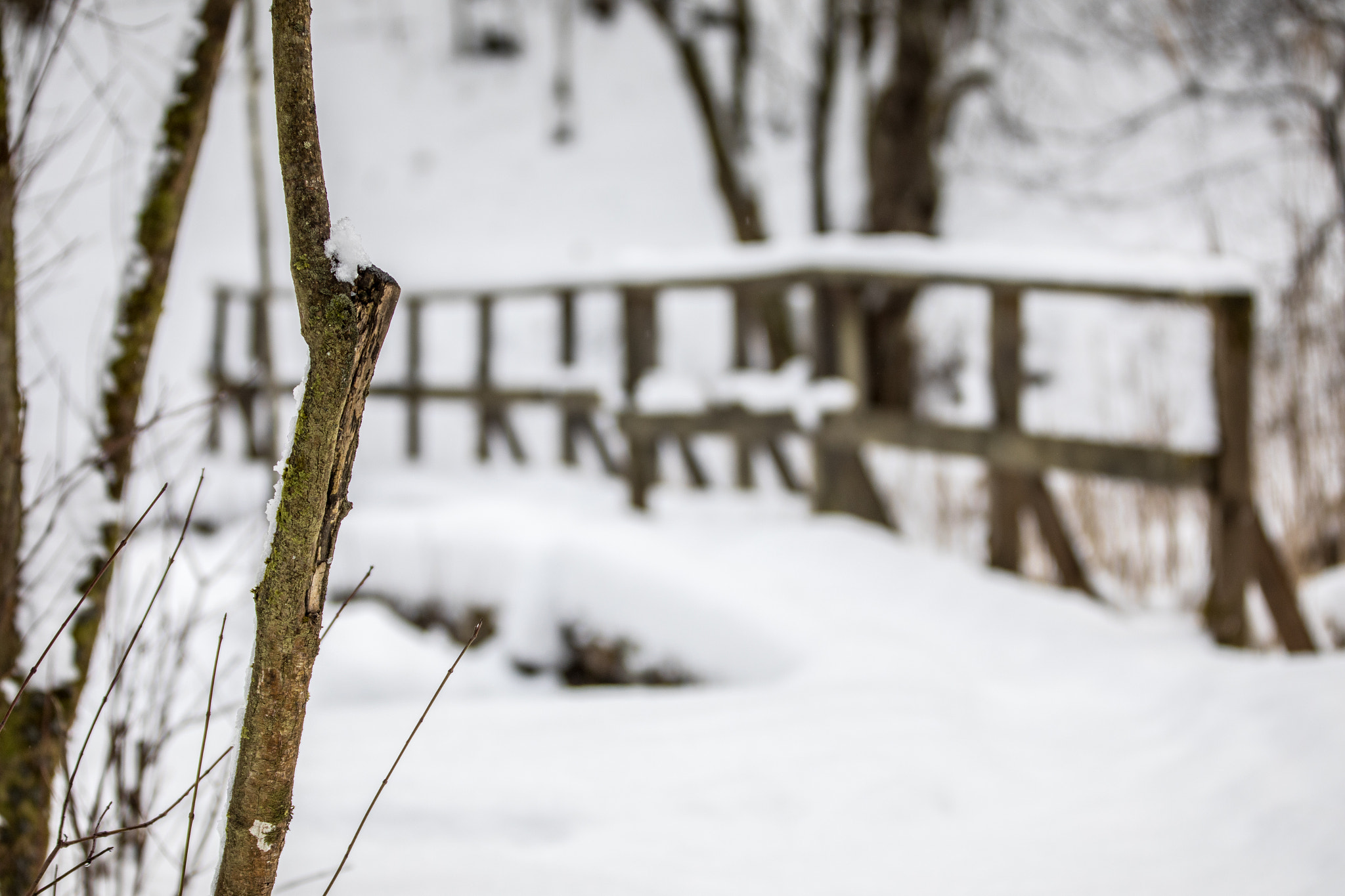 Canon EF 70-200mm F2.8L IS II USM sample photo. Snowscape xxxv photography