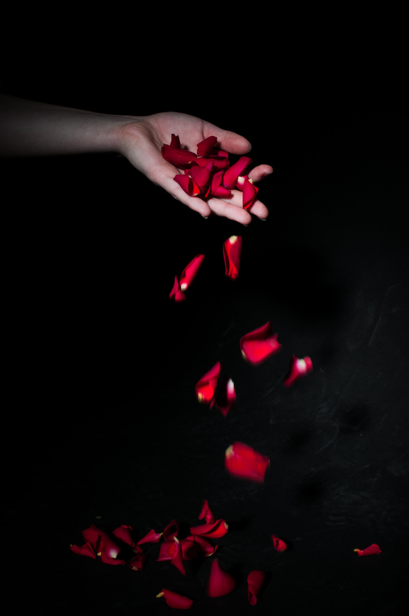 Nikon D300 sample photo. Falling roses photography
