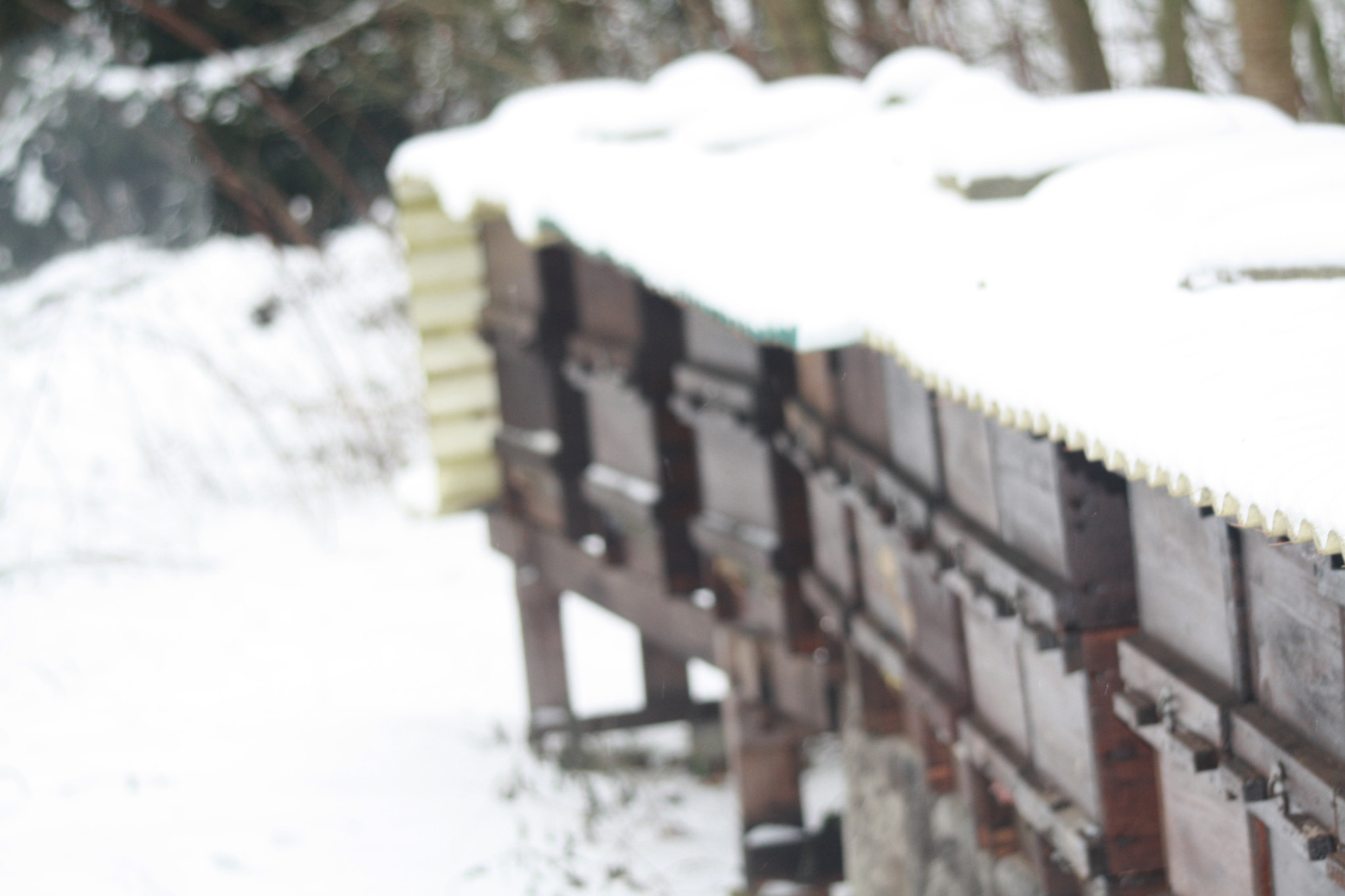 Canon EF 80-200mm F4.5-5.6 II sample photo. Bienenhaus photography