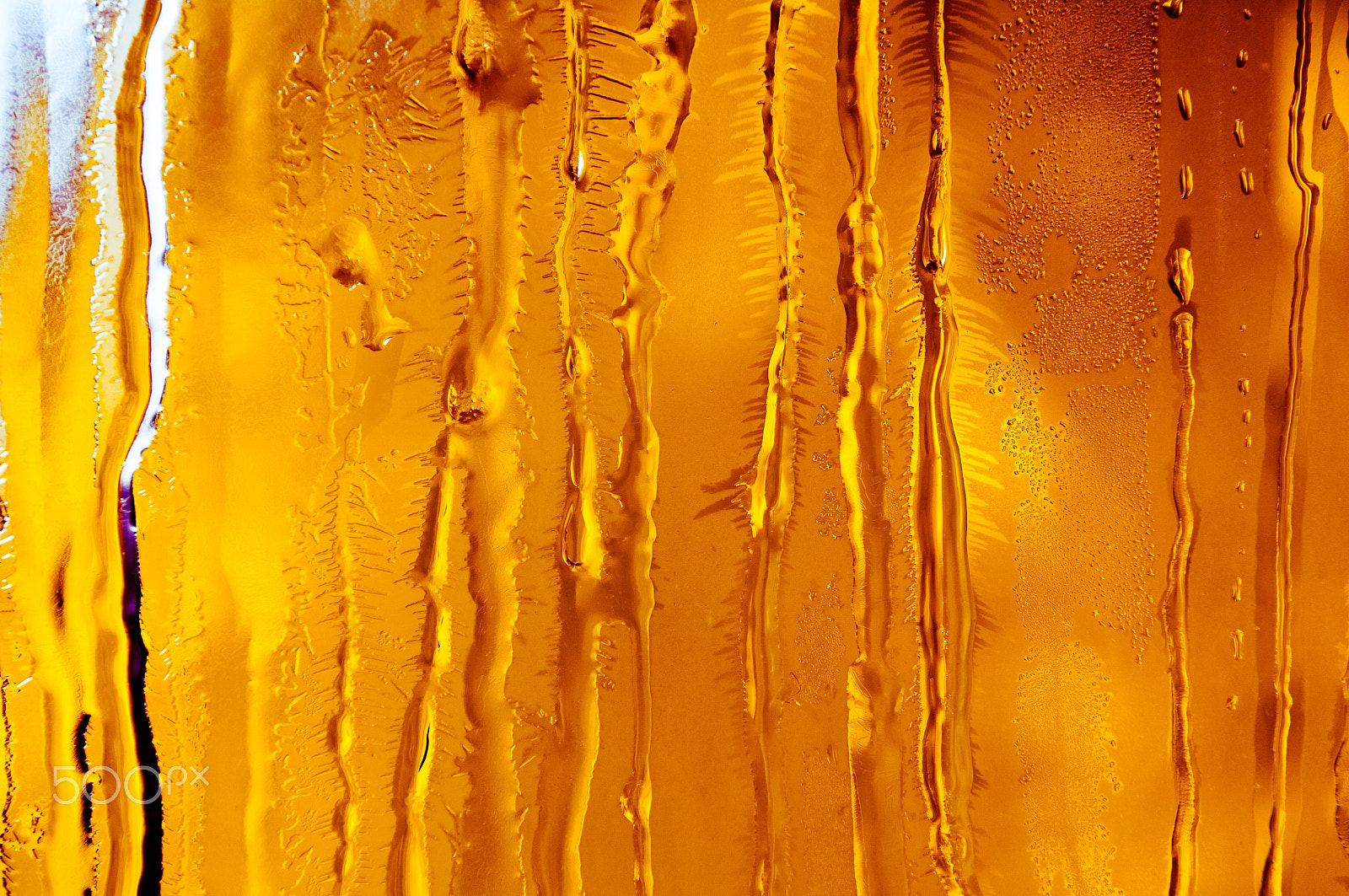 Nikon D2X sample photo. Ice flowers on frosty window glass photography