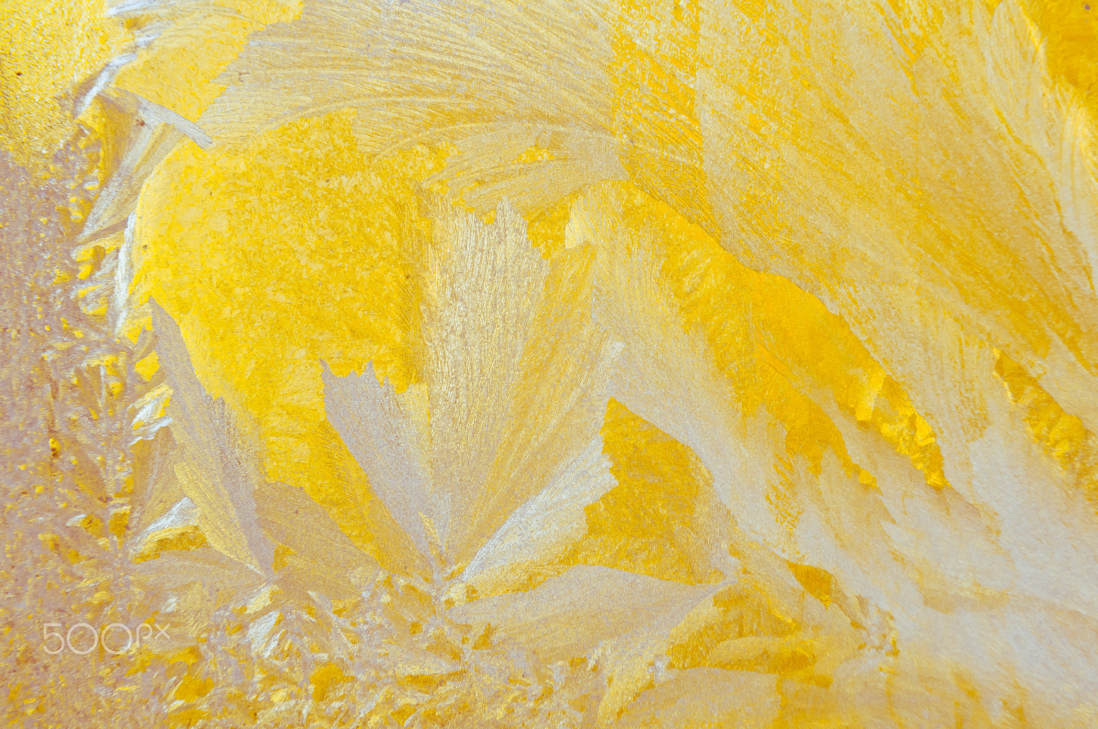 Nikon D2X sample photo. Ice flowers on frosty window glass photography