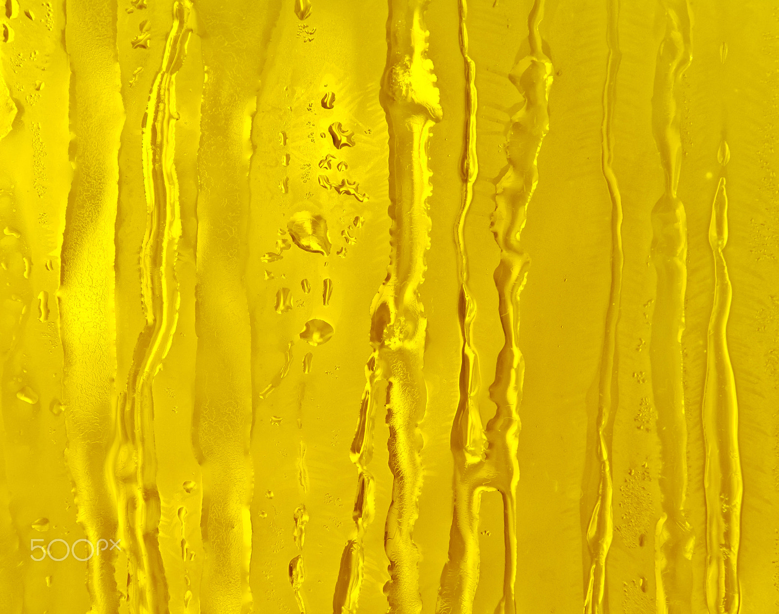 Nikon D2X sample photo. Ice flowers on frosty window glass photography