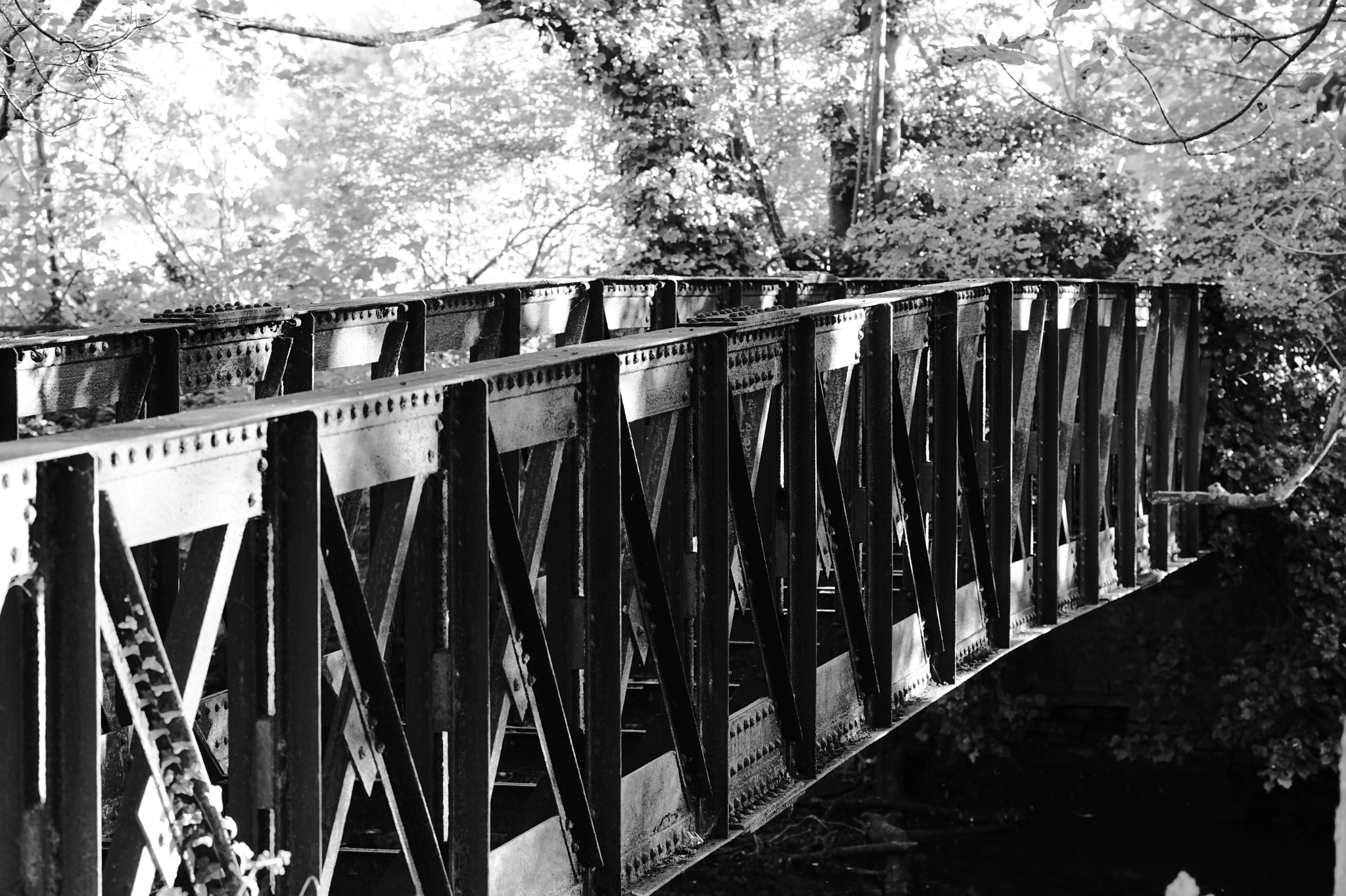 Sony ILCA-77M2 sample photo. Old métal bridge photography