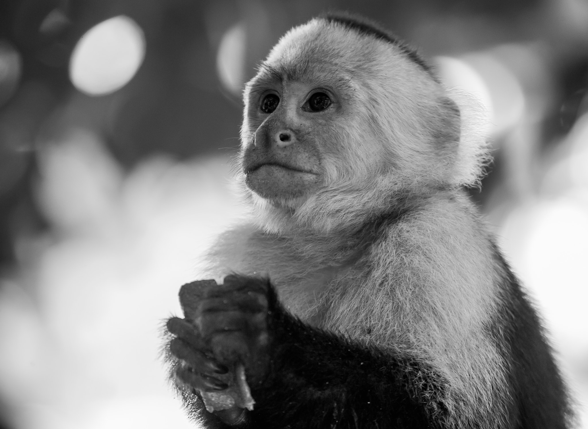 Nikon D3S sample photo. Like a prayer photography