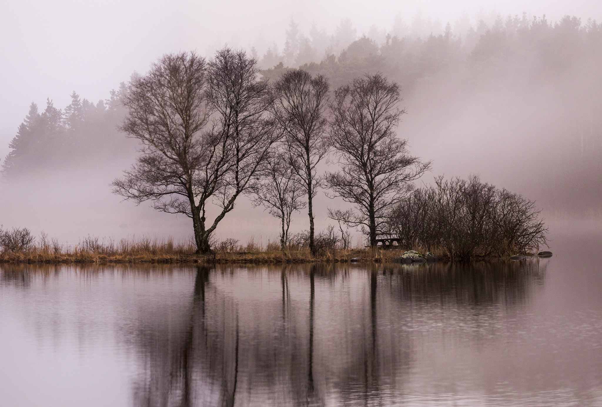 Canon EOS 6D + Canon EF 400mm F5.6L USM sample photo. Afternoon mist photography