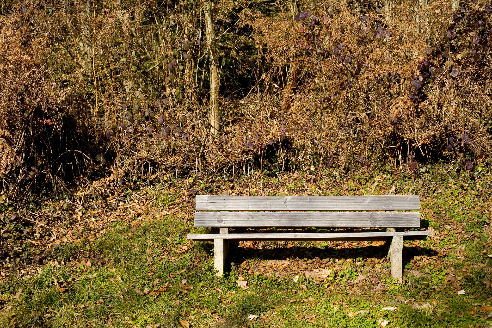 Canon EOS 5D + Canon EF 50mm f/1.8 sample photo. Banking für fortgeschrittene photography