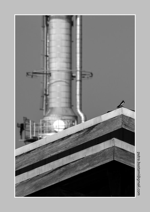 HD Pentax DA 55-300mm F4.0-5.8 ED WR sample photo. Culminated feelings photography