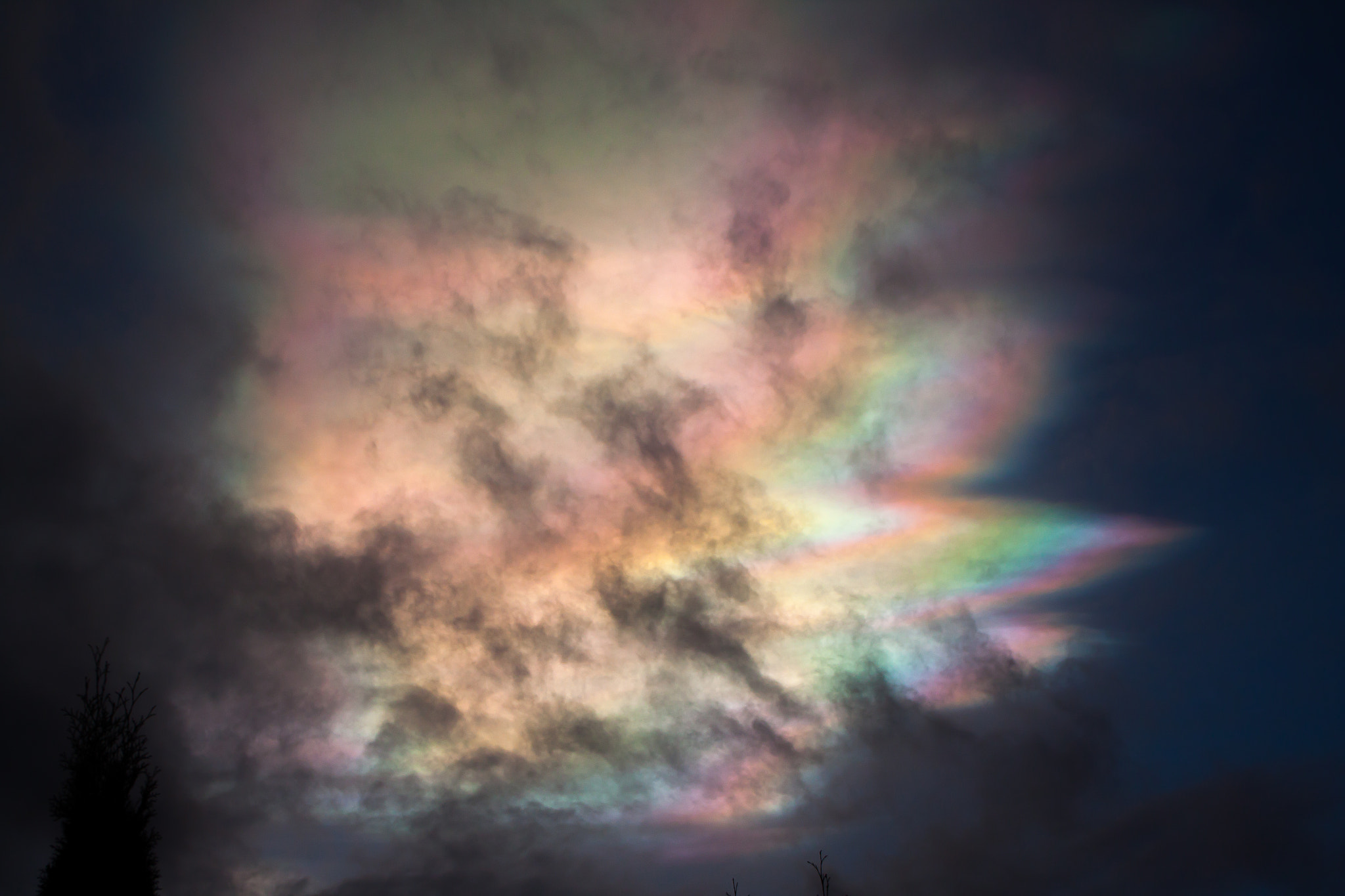 Canon EOS 500D (EOS Rebel T1i / EOS Kiss X3) sample photo. Polar stratospheric cloud photography