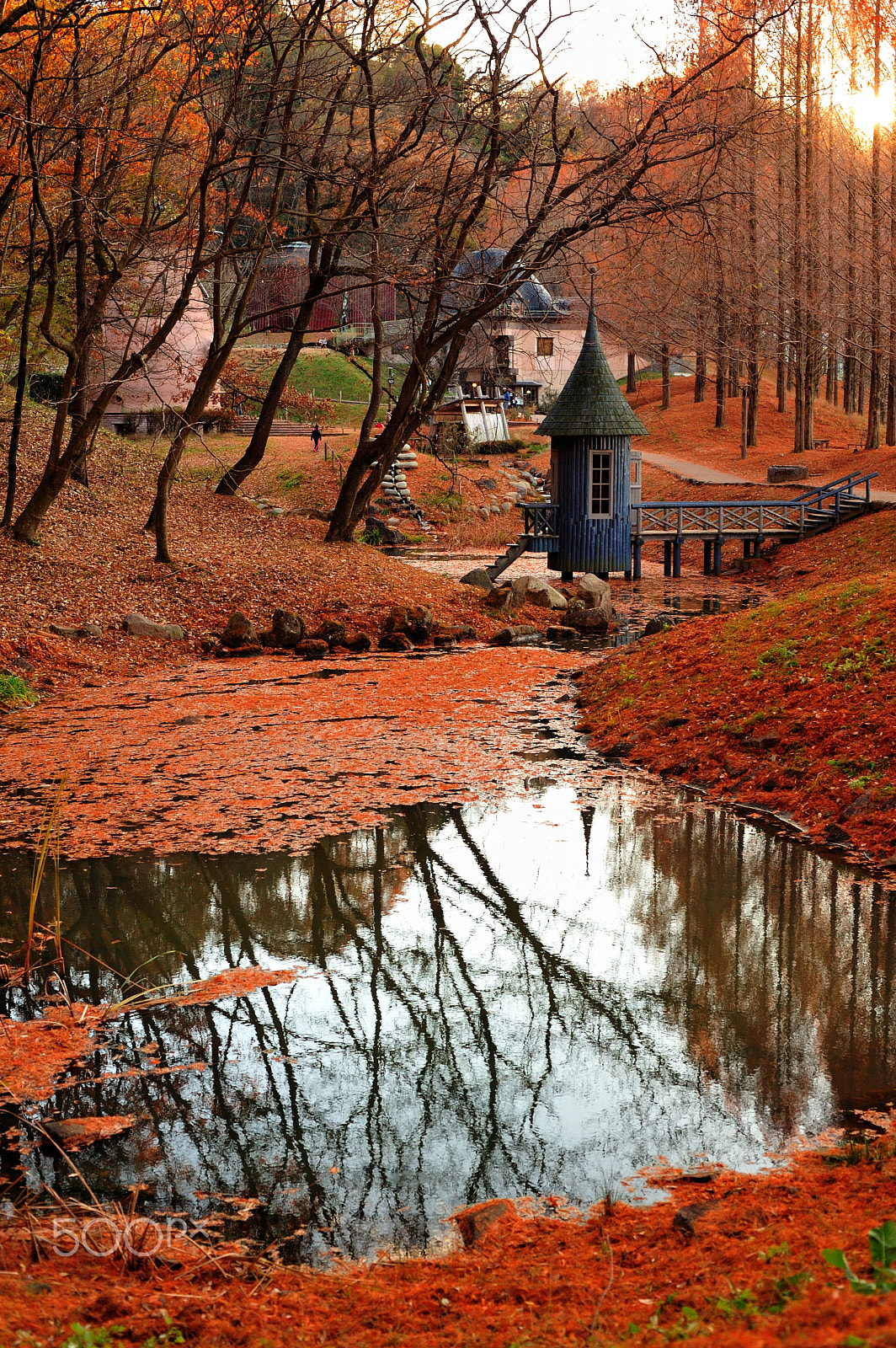 Nikon D700 sample photo. Deep autumn photography