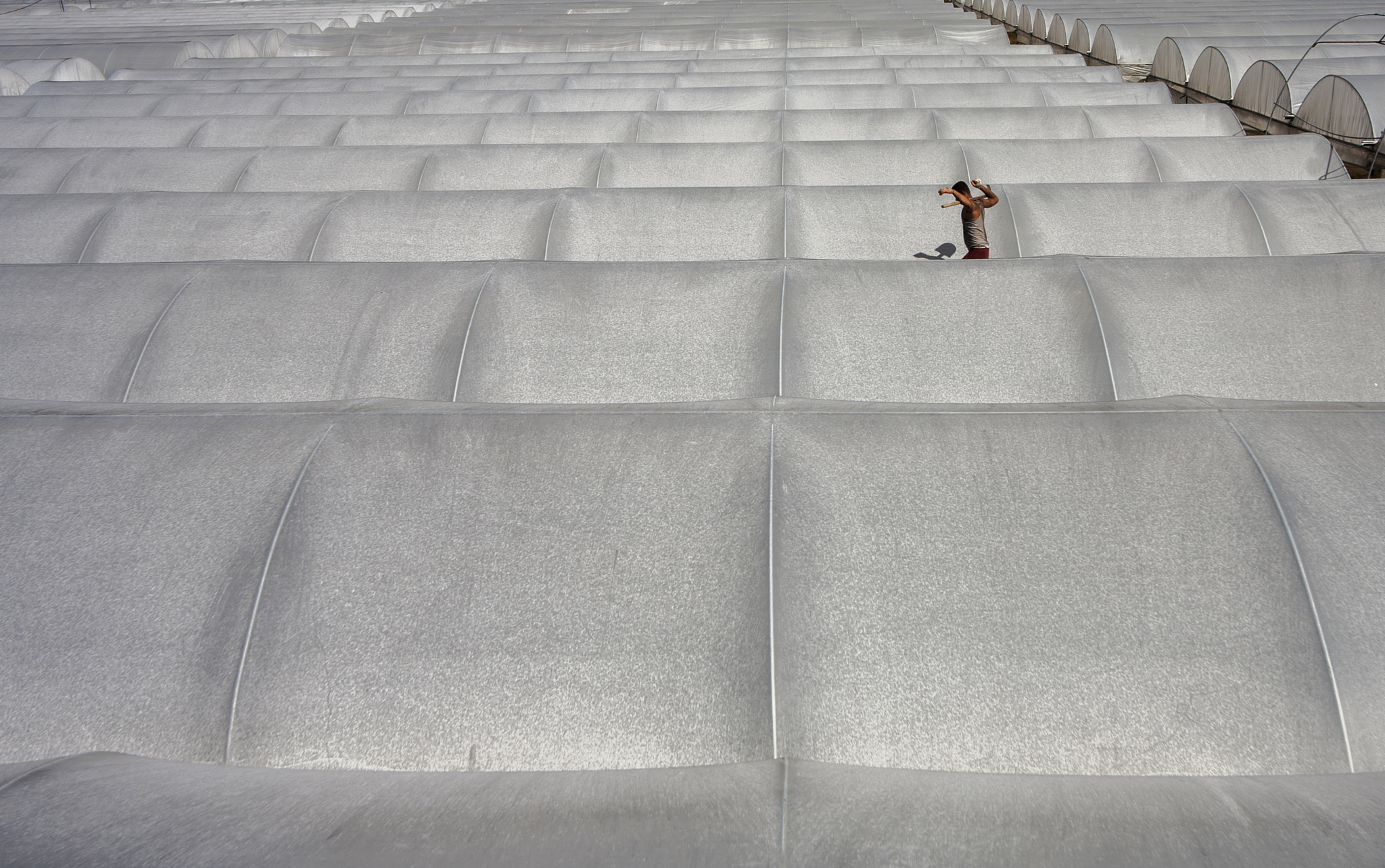 Canon EOS 5D + Sigma 15-30mm f/3.5-4.5 EX DG Aspherical sample photo. Greenhouses photography