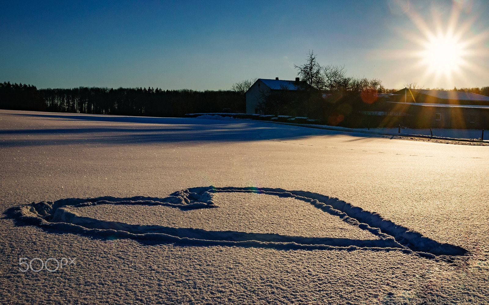Sony ILCA-77M2 sample photo. Real love will last longer than the winter photography