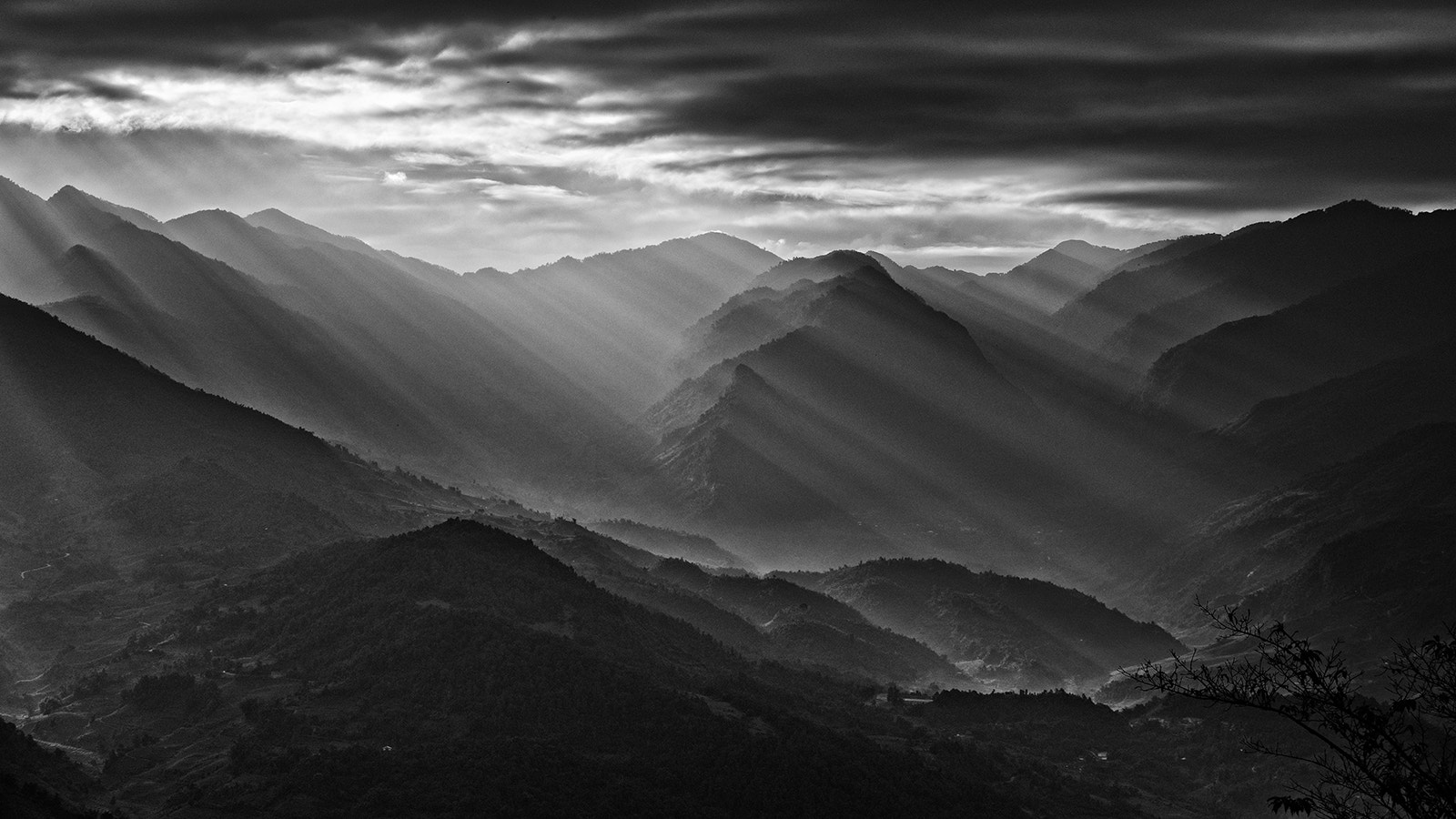 Panasonic Lumix G X Vario 35-100mm F2.8 OIS sample photo. Mono light photography