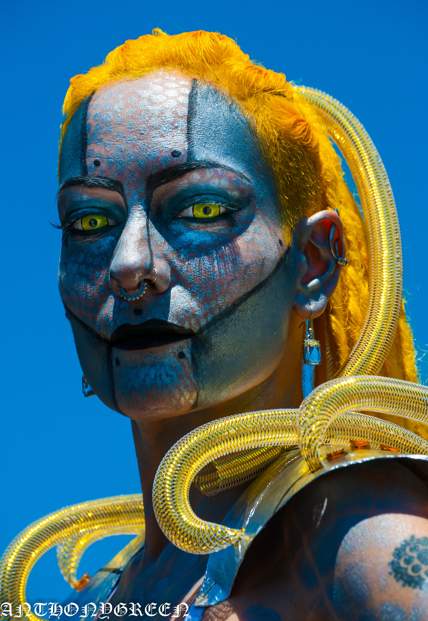 Nikon D300 sample photo. Android mermaid. photography