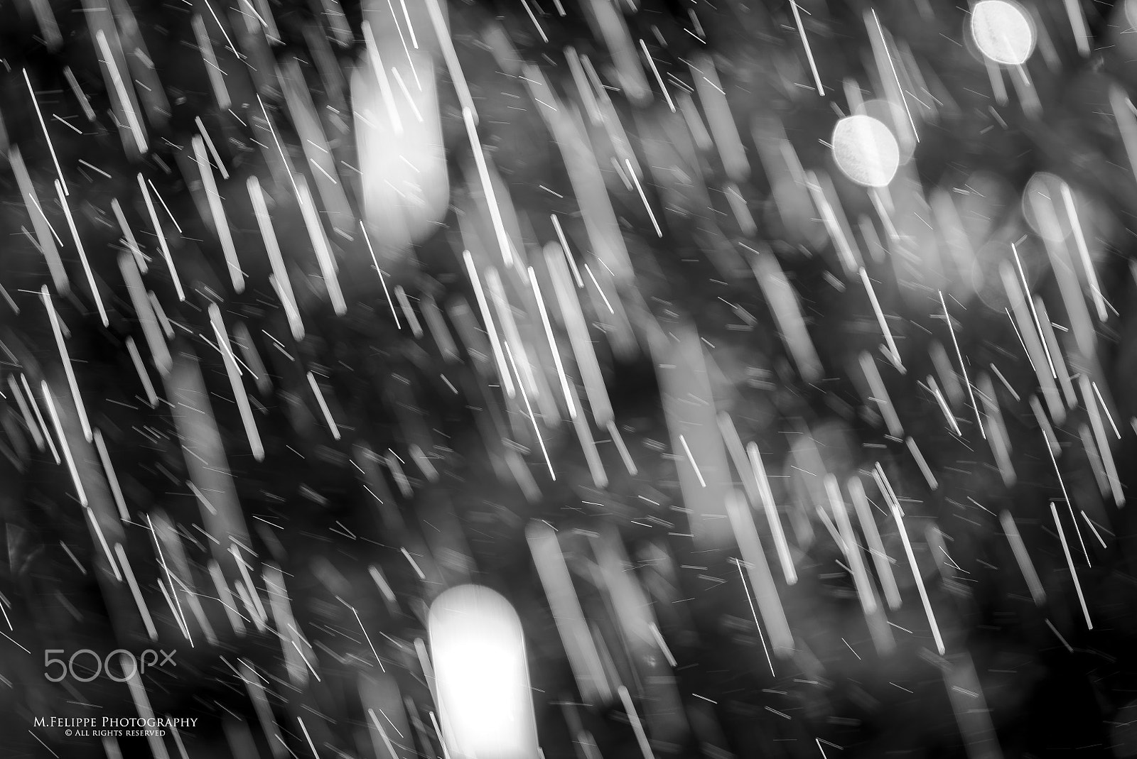 Tamron 18-270mm F3.5-6.3 Di II PZD sample photo. It's raining again photography