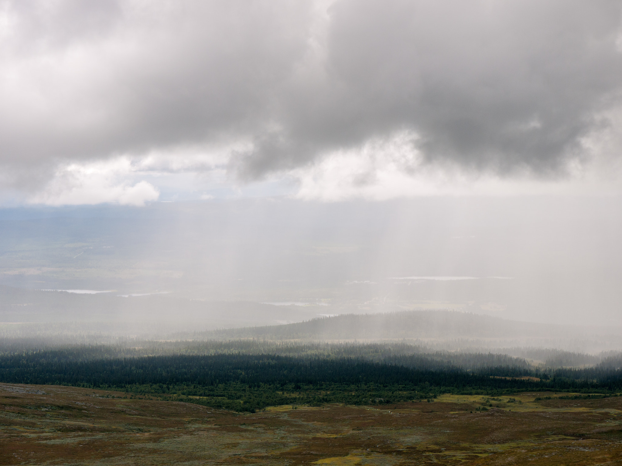 Panasonic Lumix DMC-GF1 sample photo. Swath of rain photography
