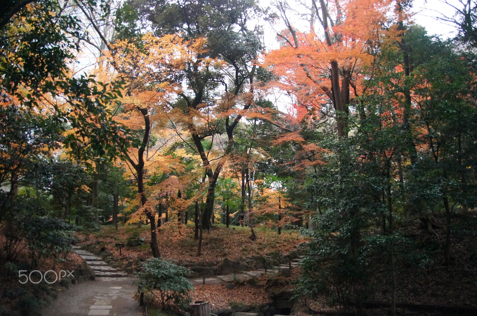 Sony Alpha DSLR-A580 sample photo. Japan kanazawa photography