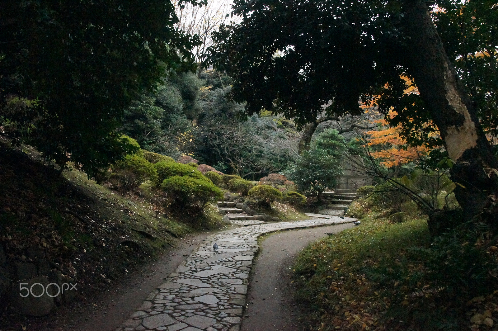 Sony Alpha DSLR-A580 sample photo. Japan kanazawa photography